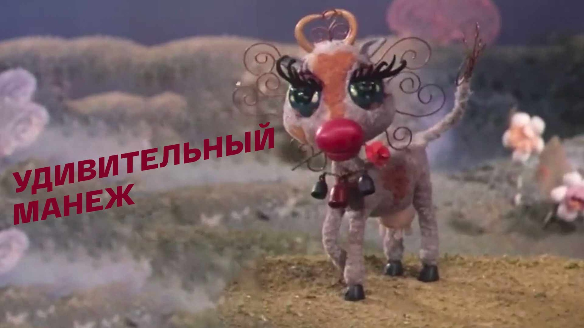 Удивительный манеж