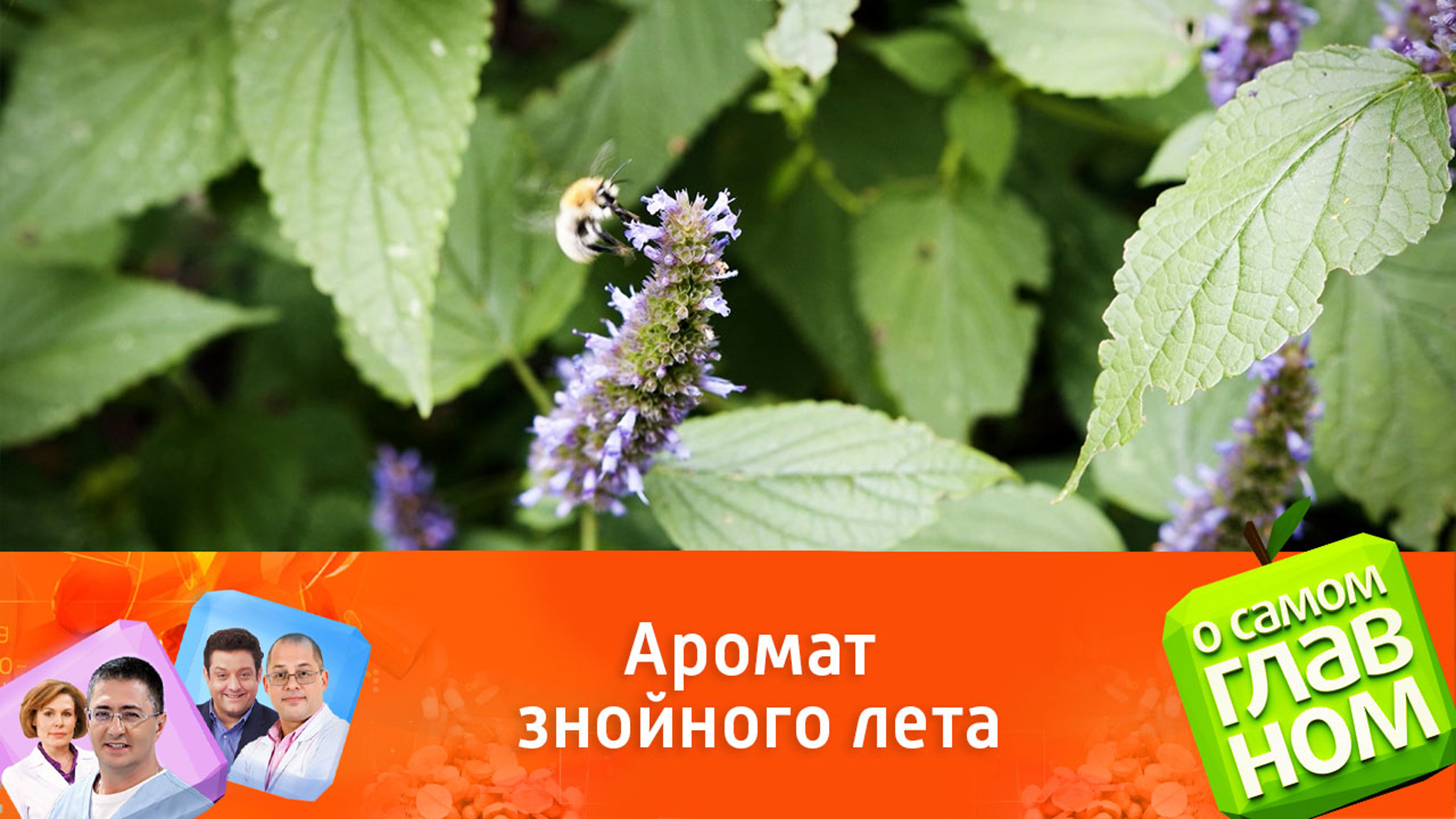 Чай при боли в горле и для профилактики язвы желудка