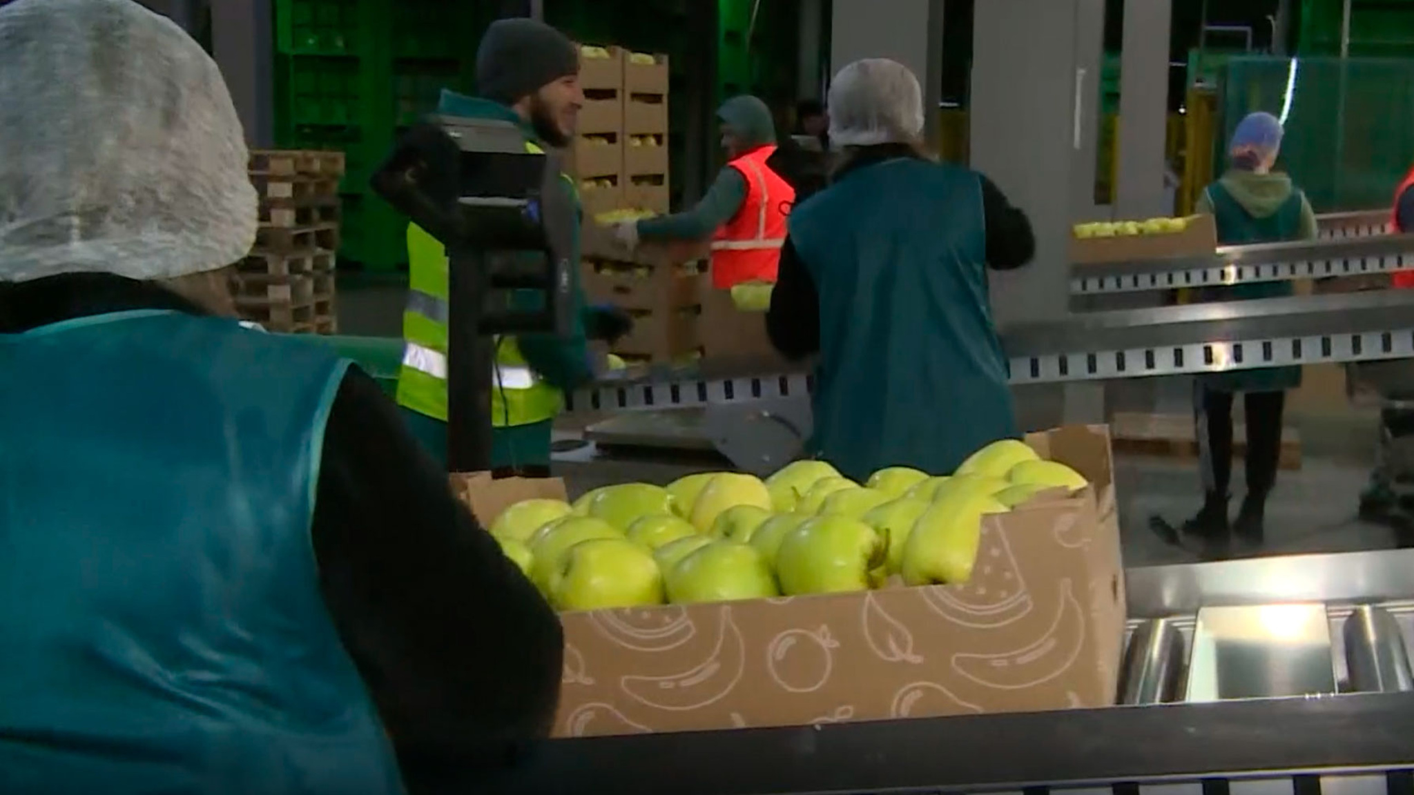 Предприятие "Сады Баксана" первым в КБР получило сертификат "Продукция Кавказа"