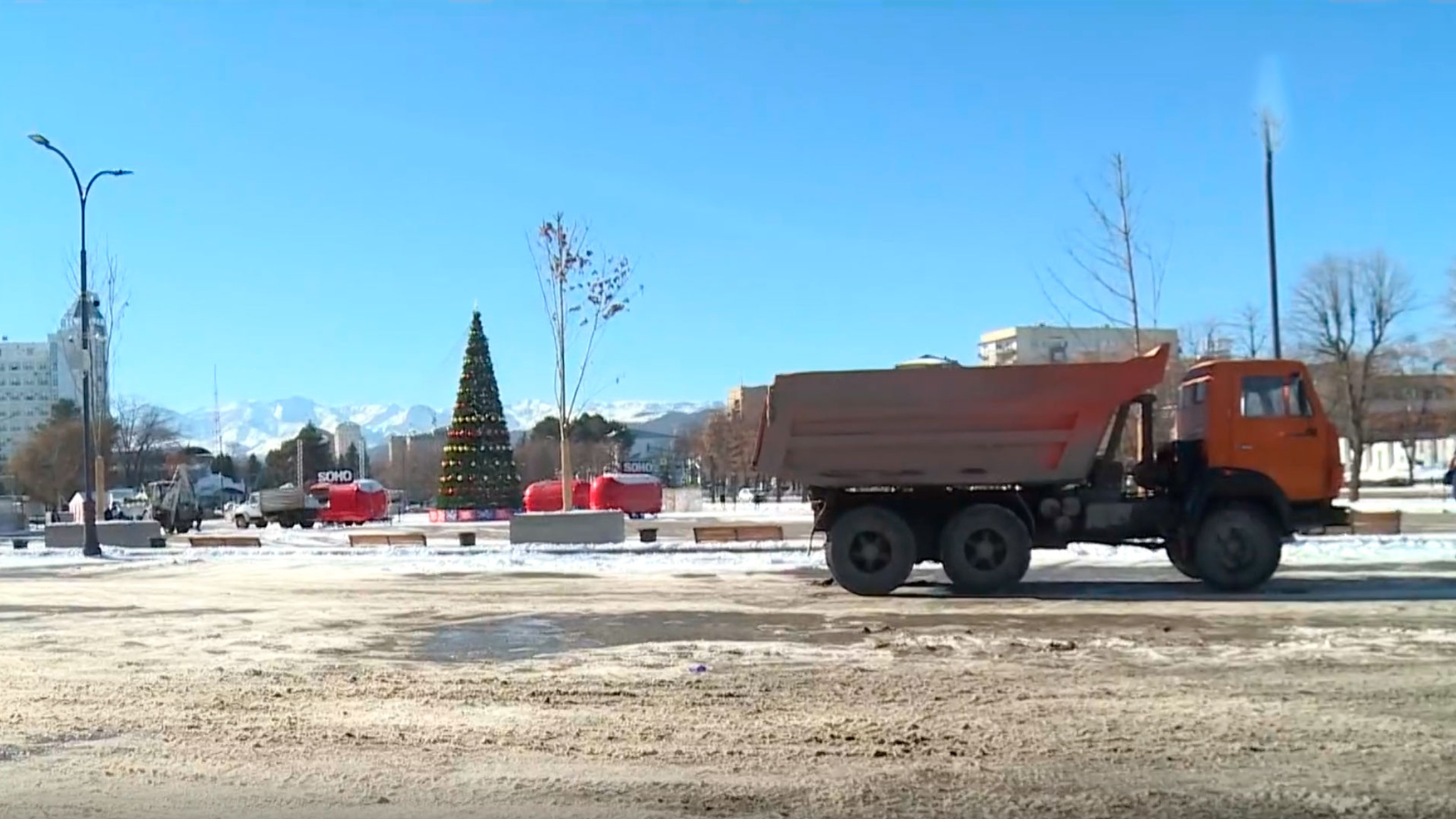 В Нальчике стартовала акция "Елочный круговорот"
