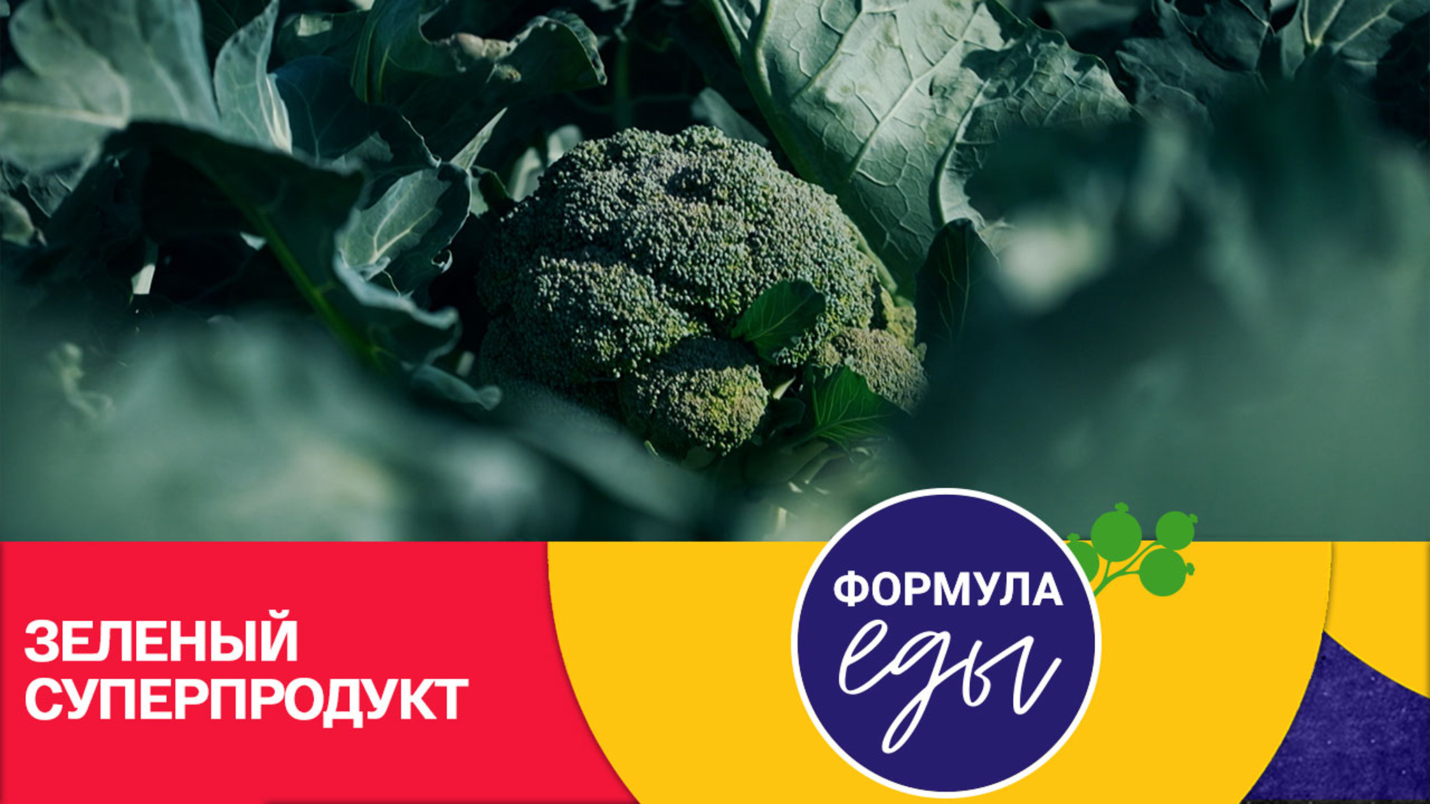 Чем полезна брокколи