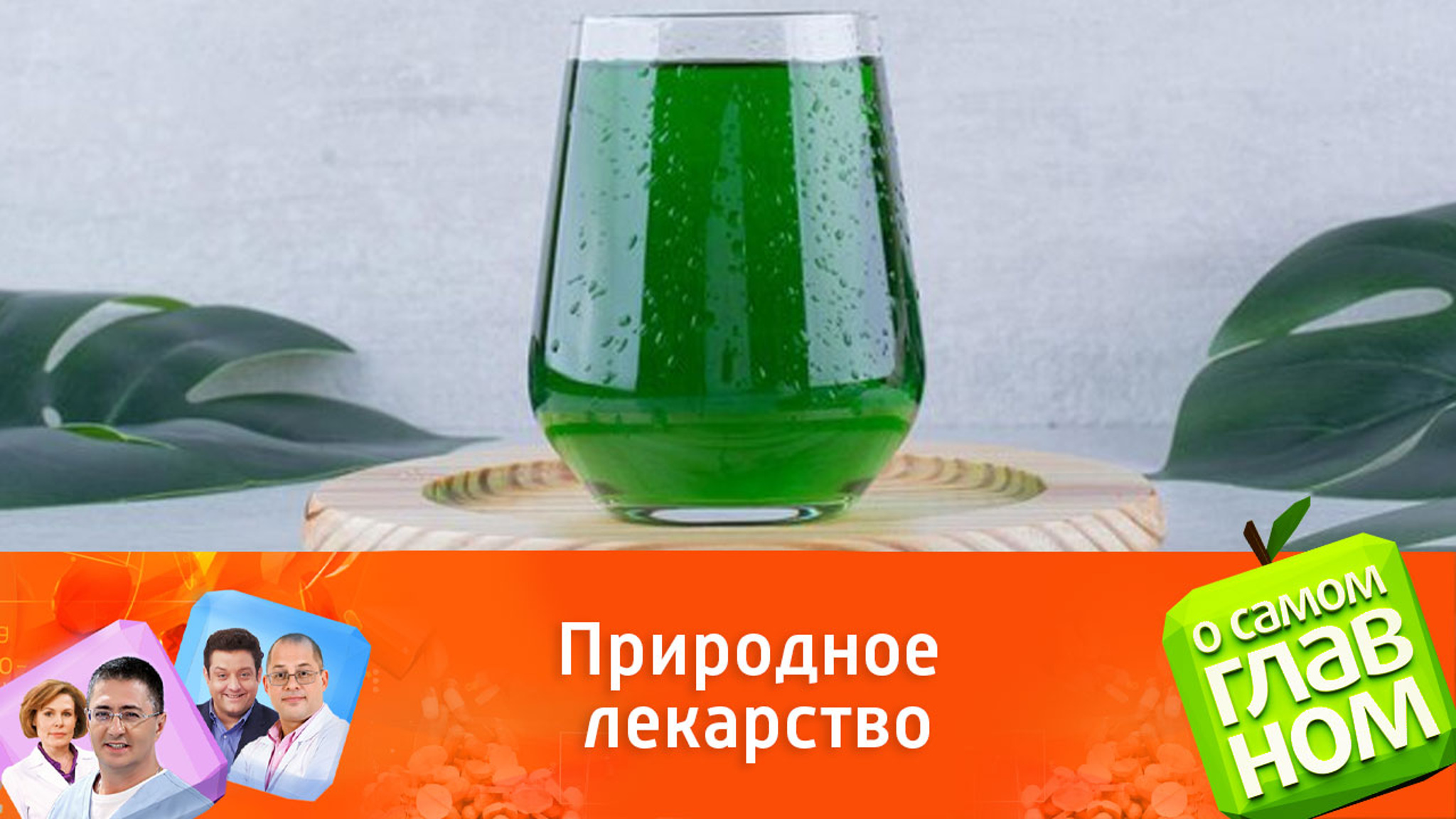 Врач Сергей Агапкин рекомендовал тархун при бессоннице и пищевых инфекциях
