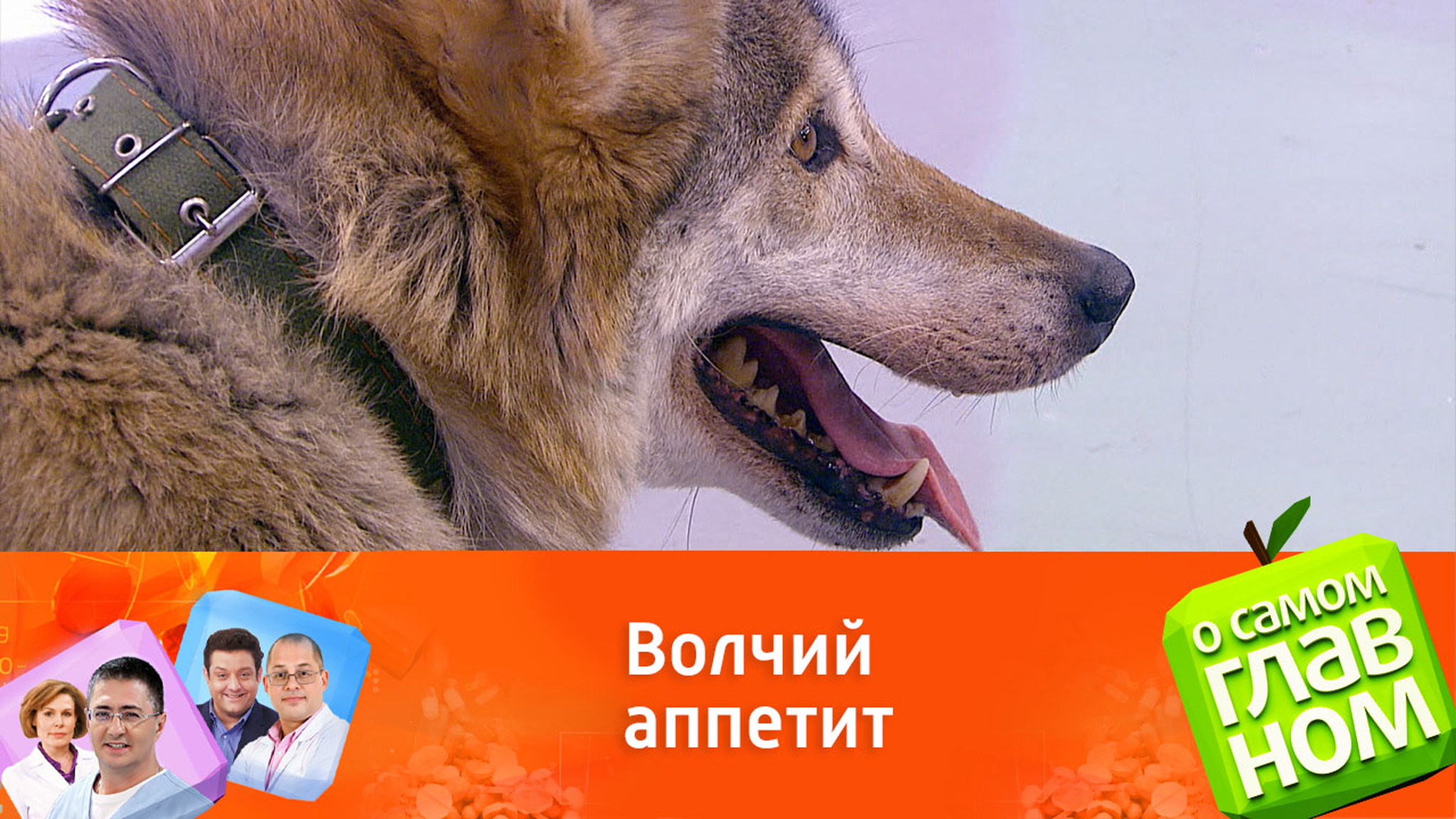 Шеф-повар Астафьев: недостаток сна и стресс провоцируют голод