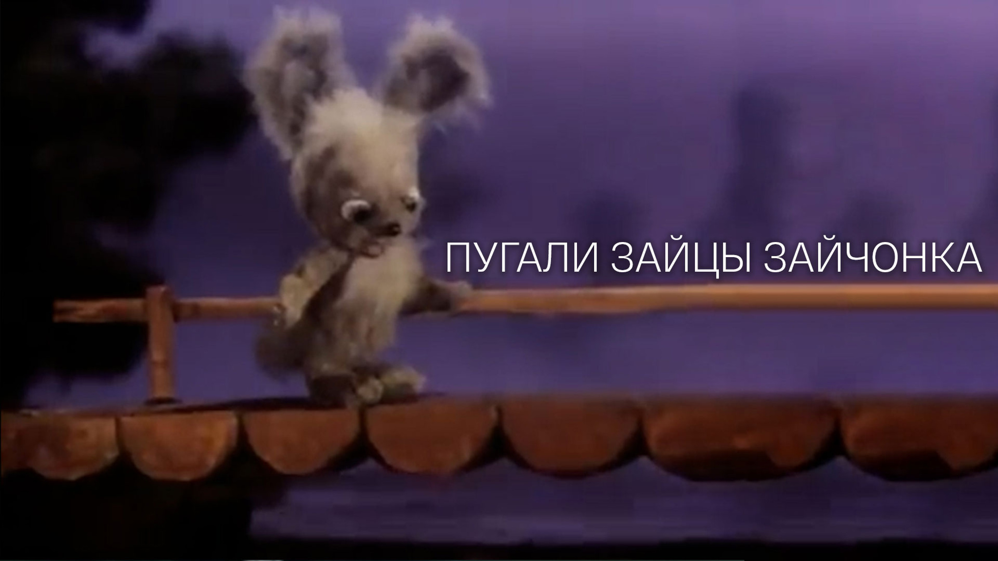 Пугали зайцы зайчонка