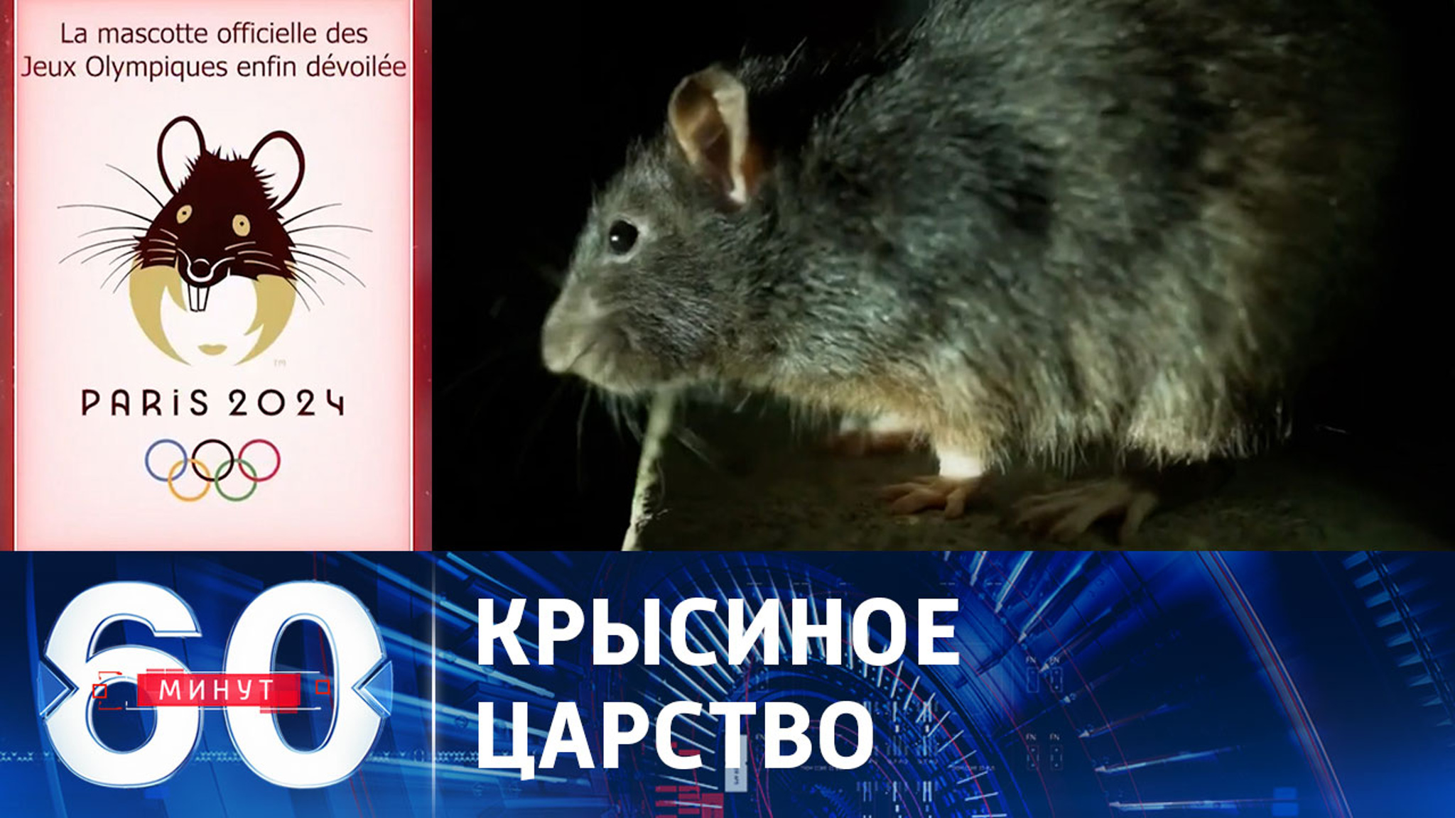 Париж захватили полчища крыс