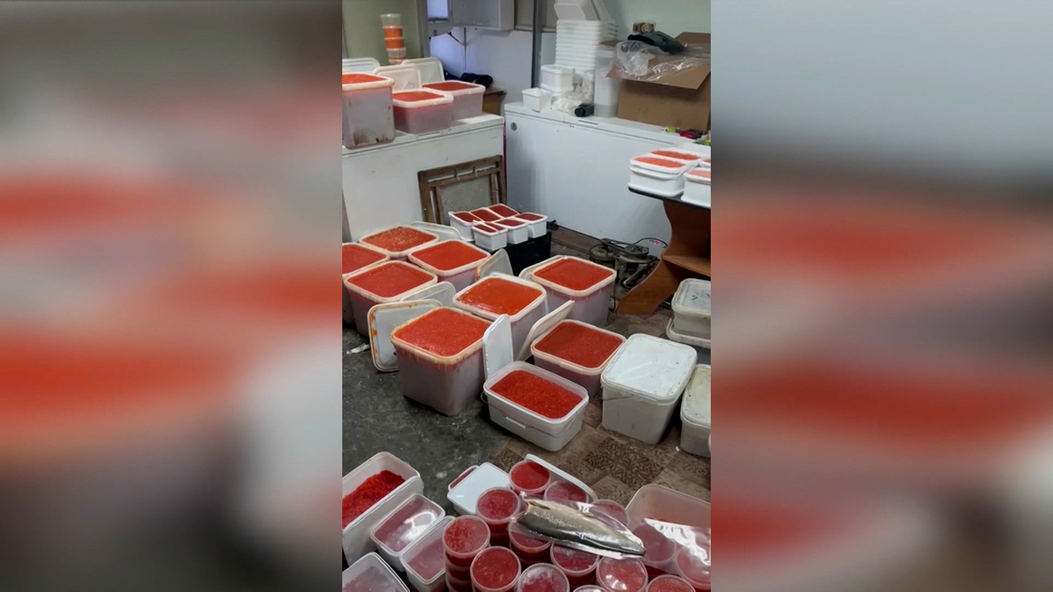 Крупный браконьерский улов изъяли на Камчатке