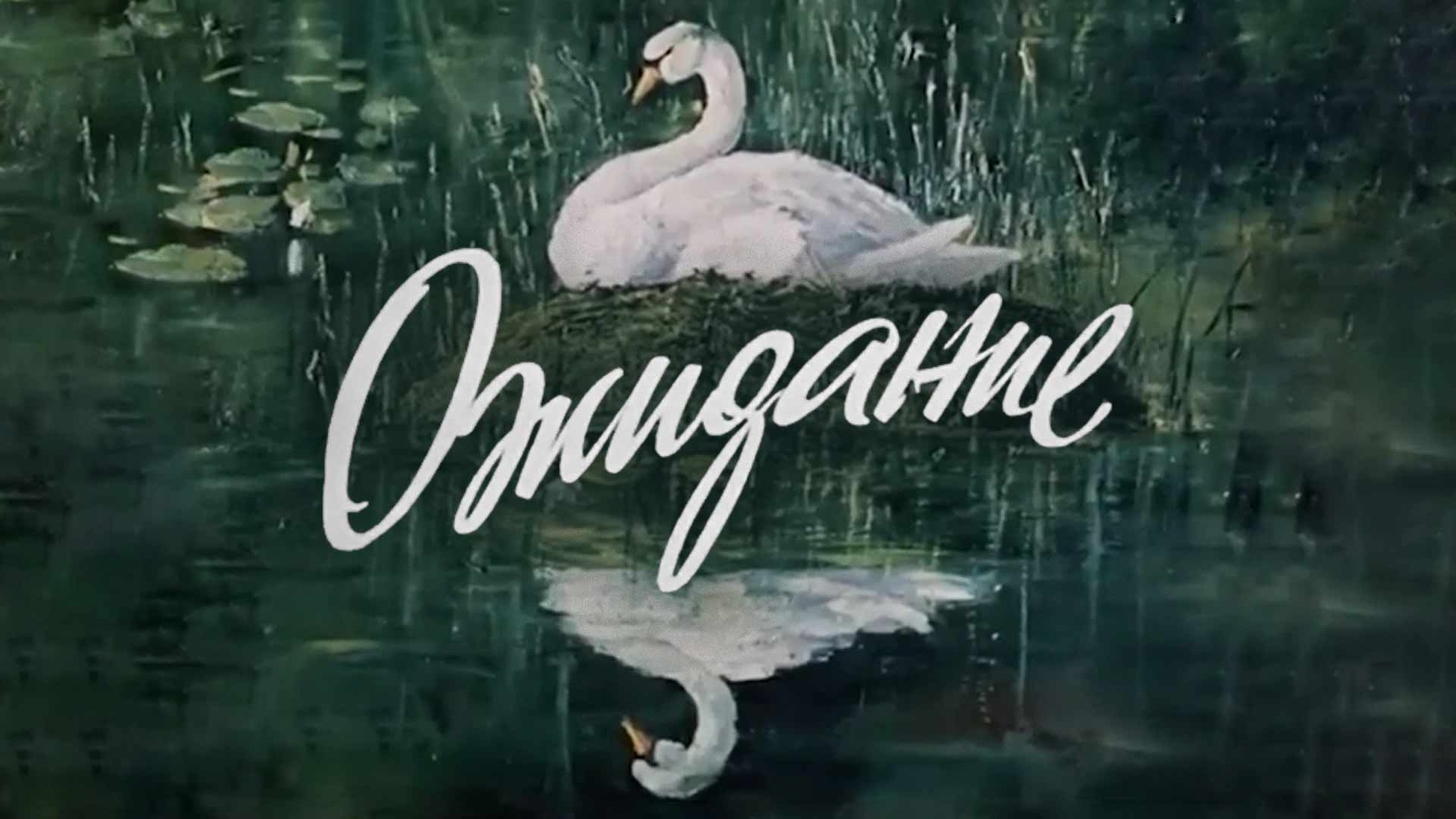 Ожидание
