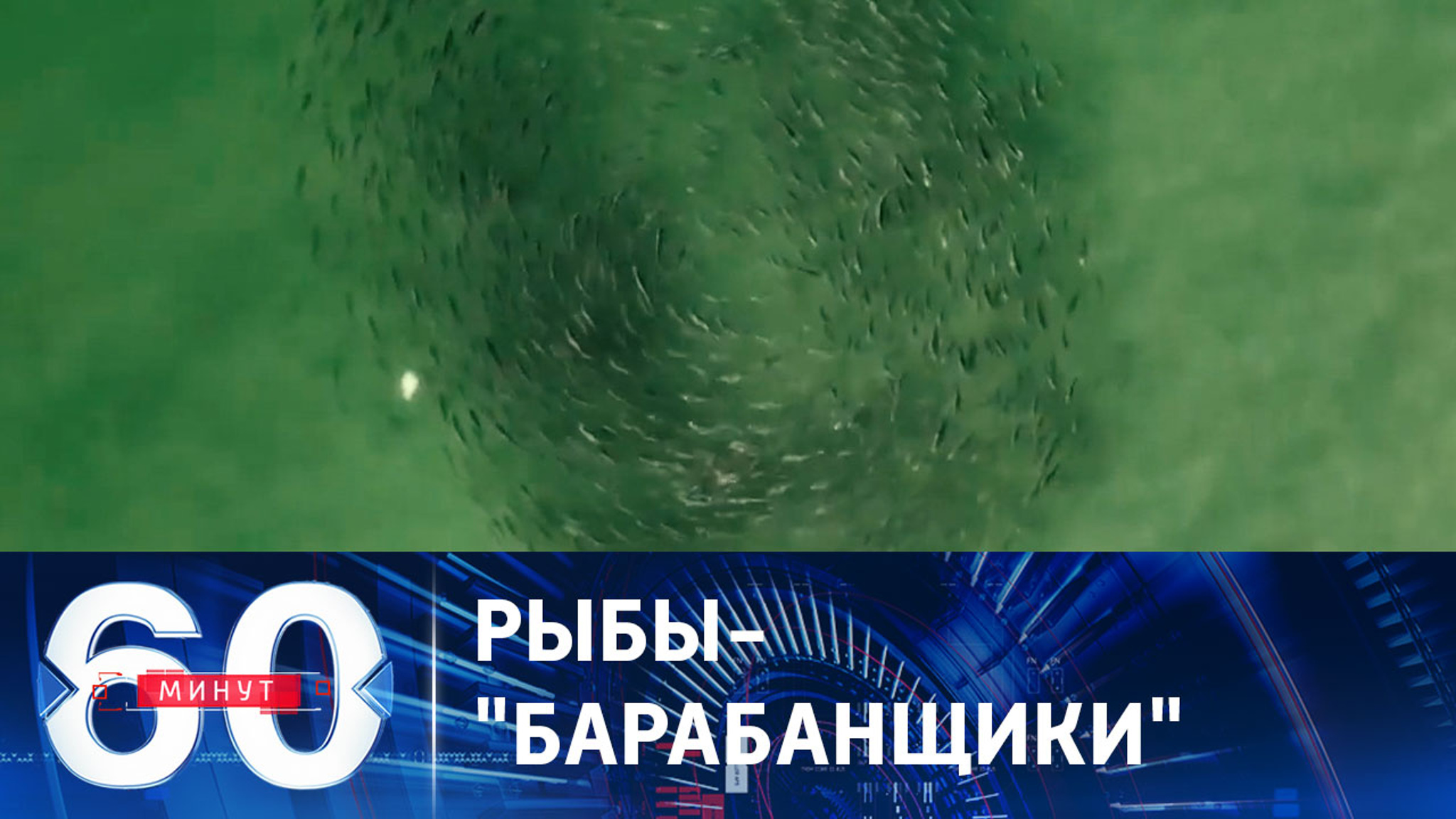 Звуки неизвестного происхождения не дают заснуть жителям Тампы