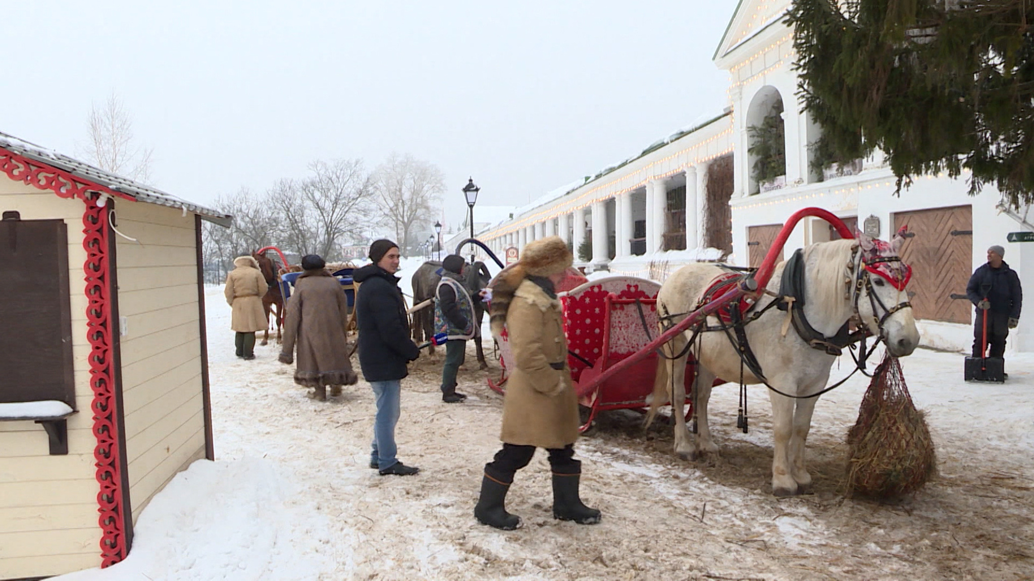 СК проверяет суздальских лихачей после наезда на журналиста "Дежурной части"