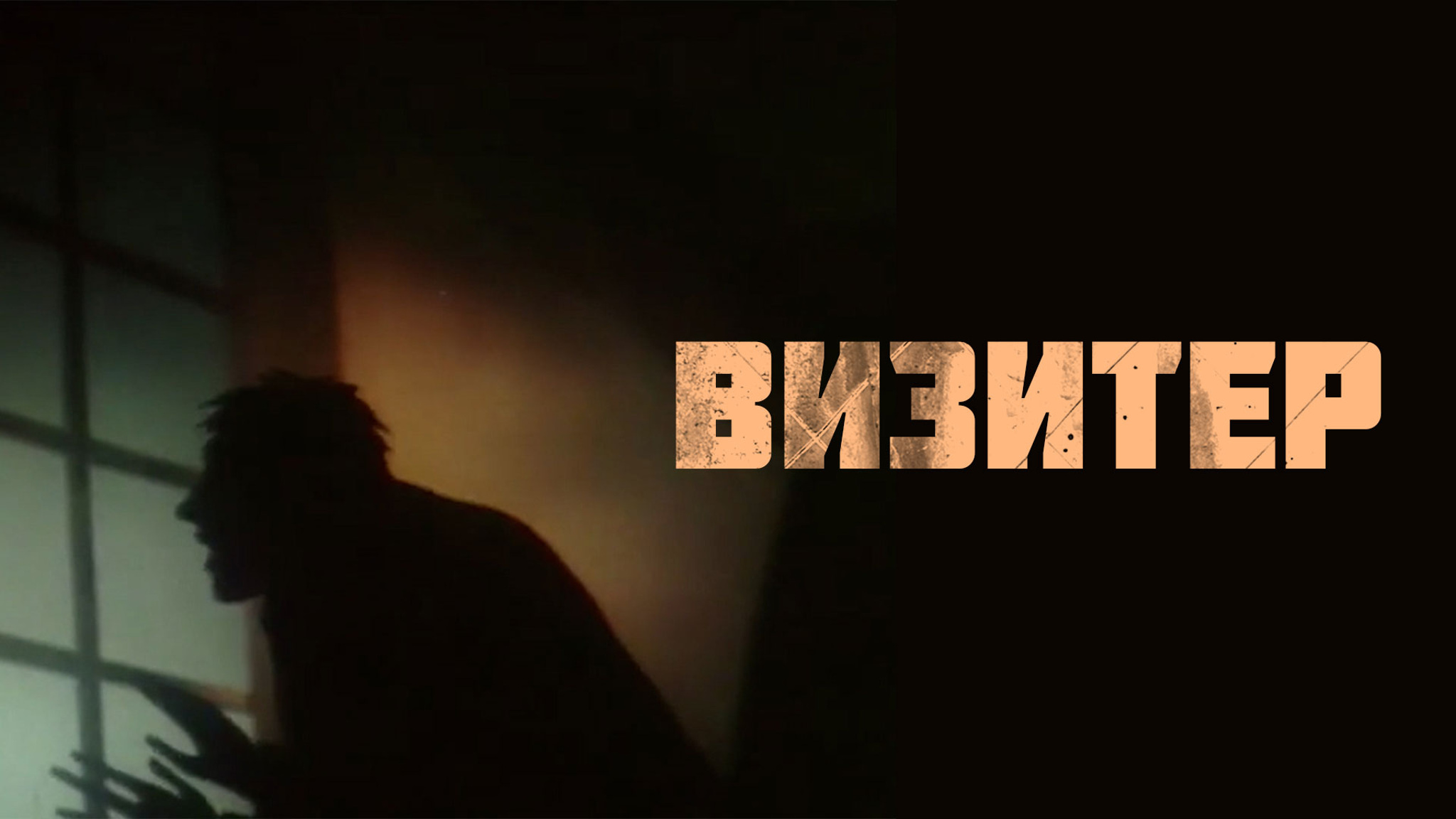 Визитер