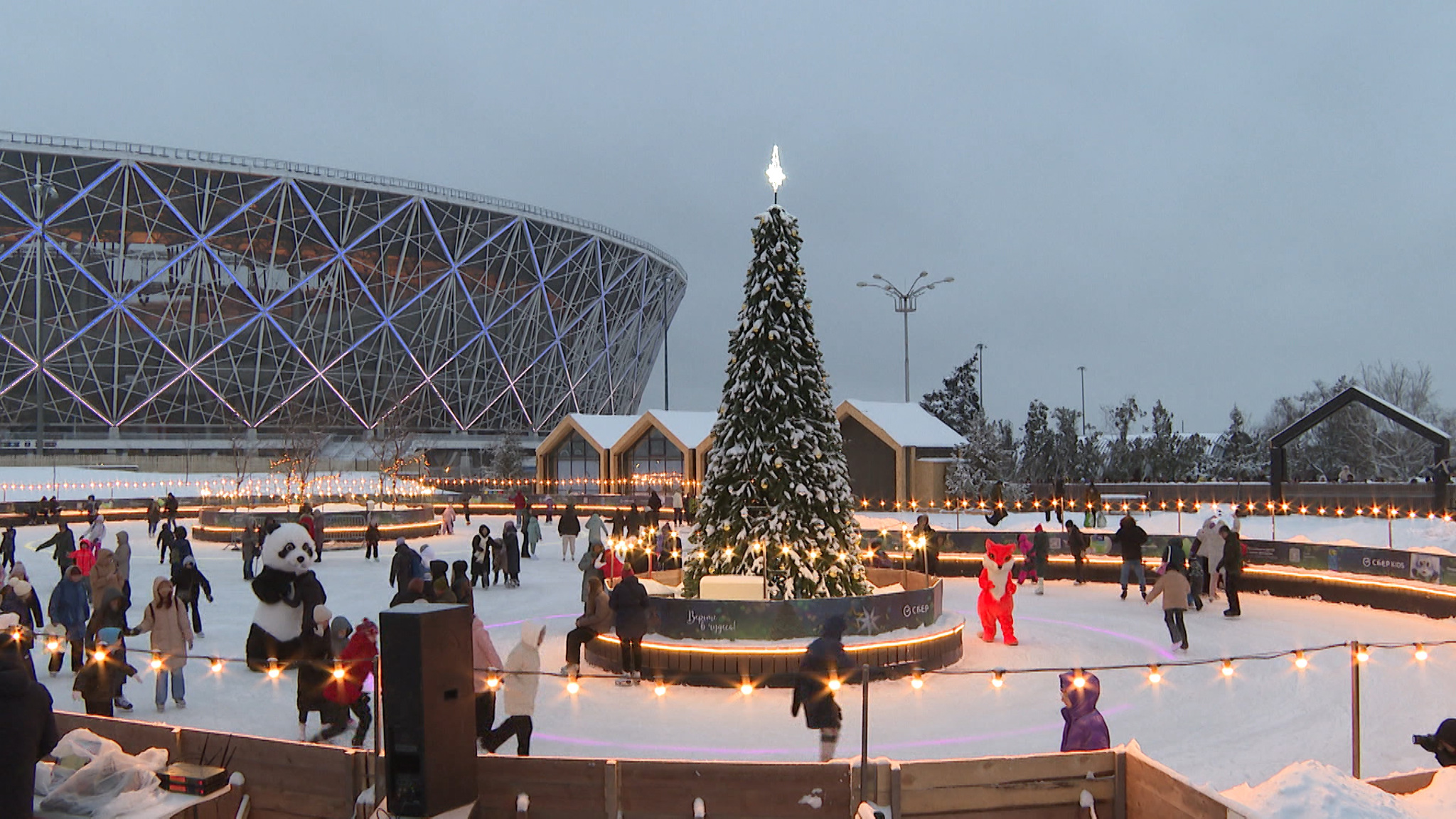 Китайский Новый год встретили волгоградцы в Центральном парке культуры и отдыха