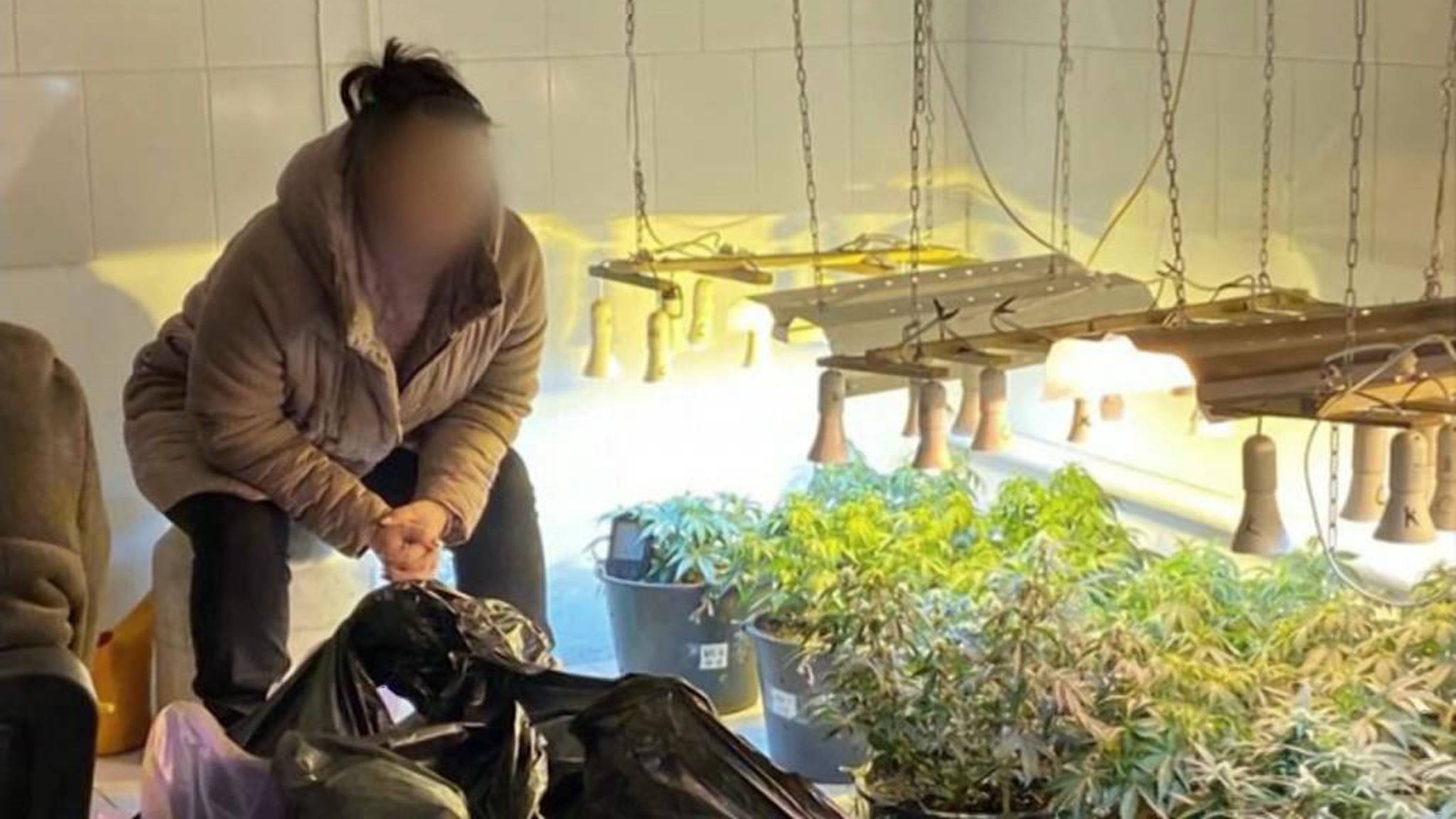 В подпольный наркосад нагрянули полицейские