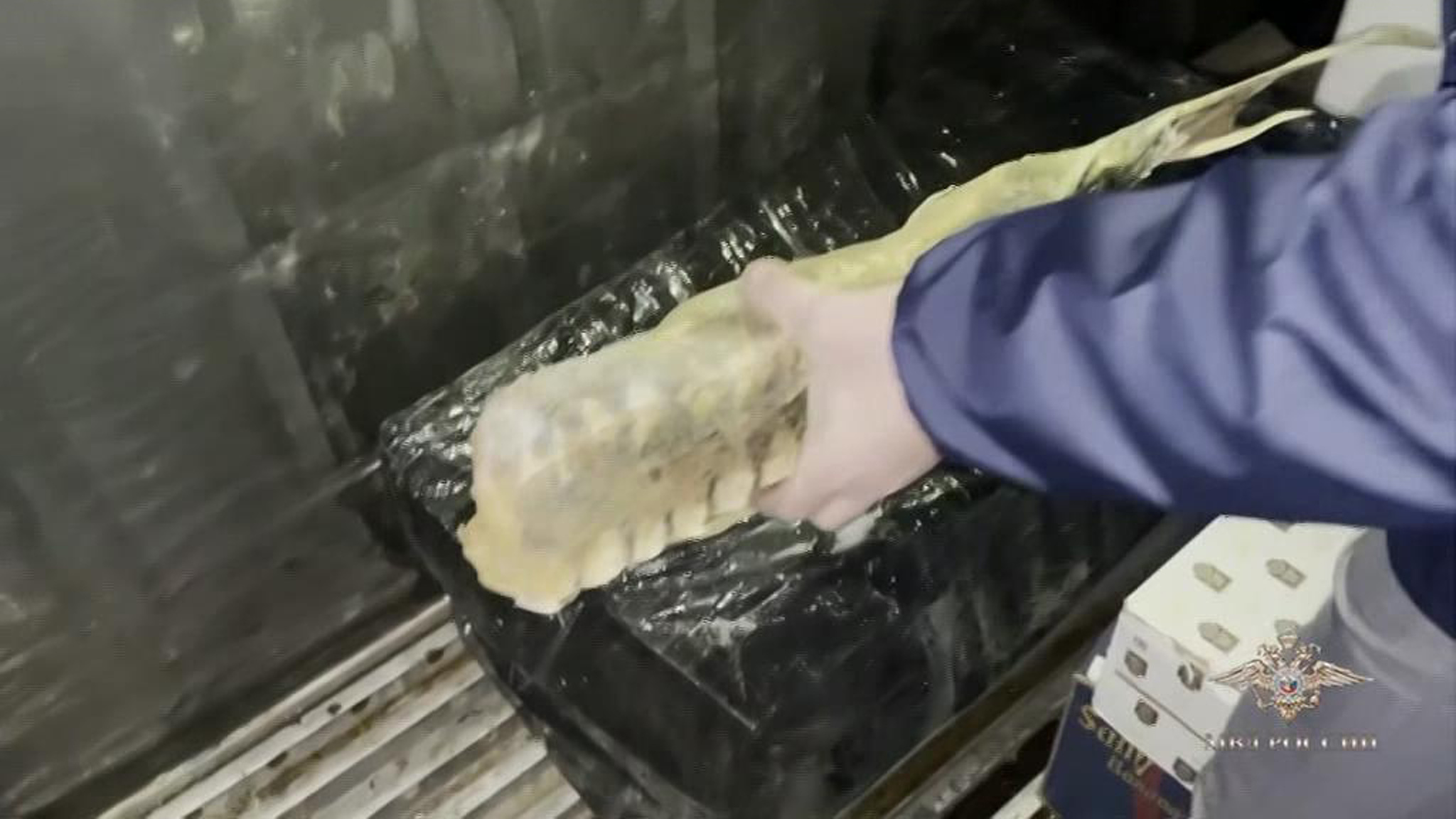 В столице из незаконного оборота изъяли 10 тонн рыбы и красной икры