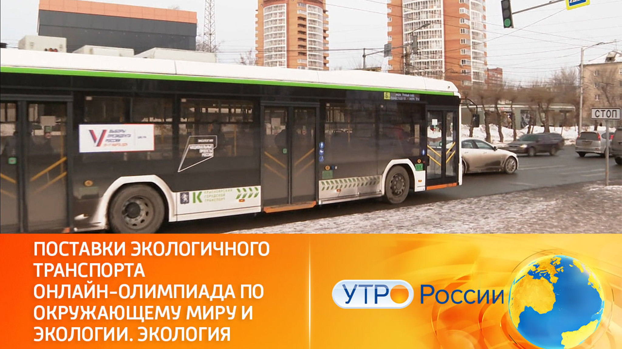 Начни с себя: помогать защите окружающей среды может каждый