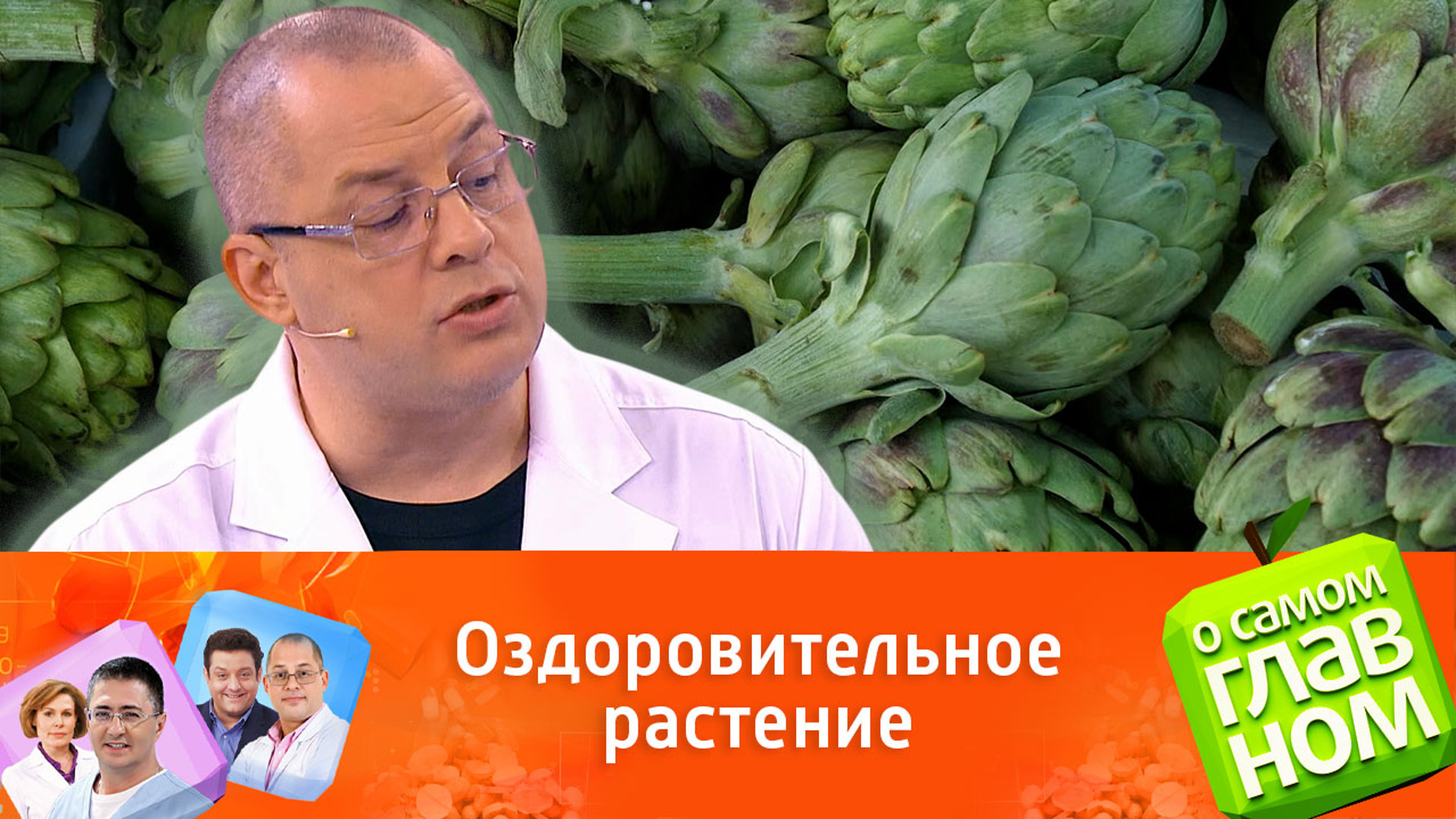 Артишоки улучшают жировой обмен в организме