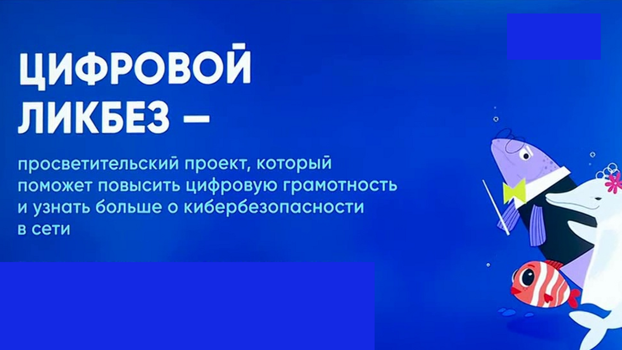 В Нижегородской области стартовал проект, направленный на профилактику мошенничества в интернете