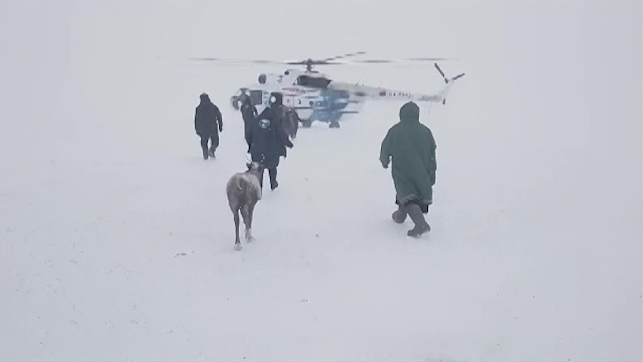 Жители Ямала приступили к досрочному голосованию