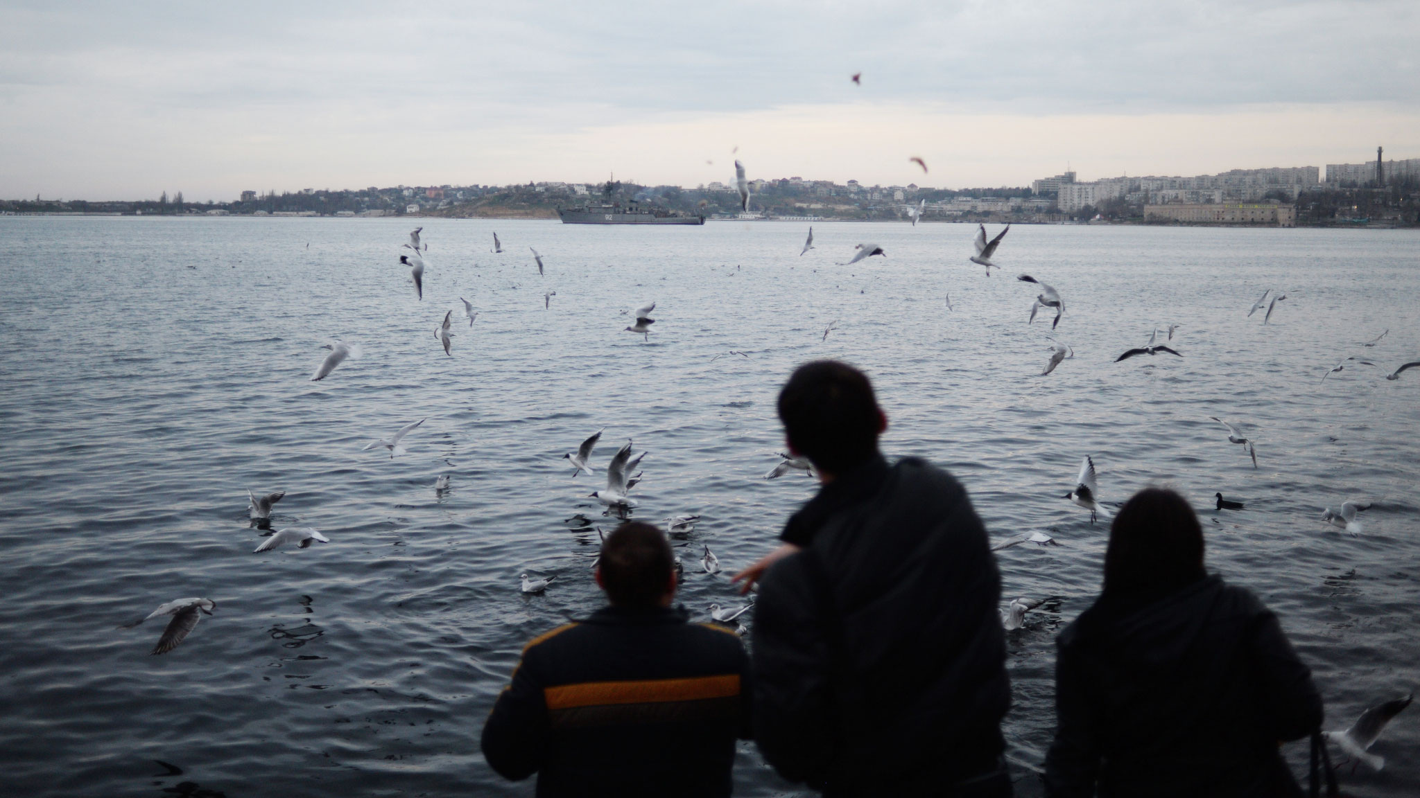 Росрыболовство исследовало водные биоресурсы Черного моря и Керченского пролива