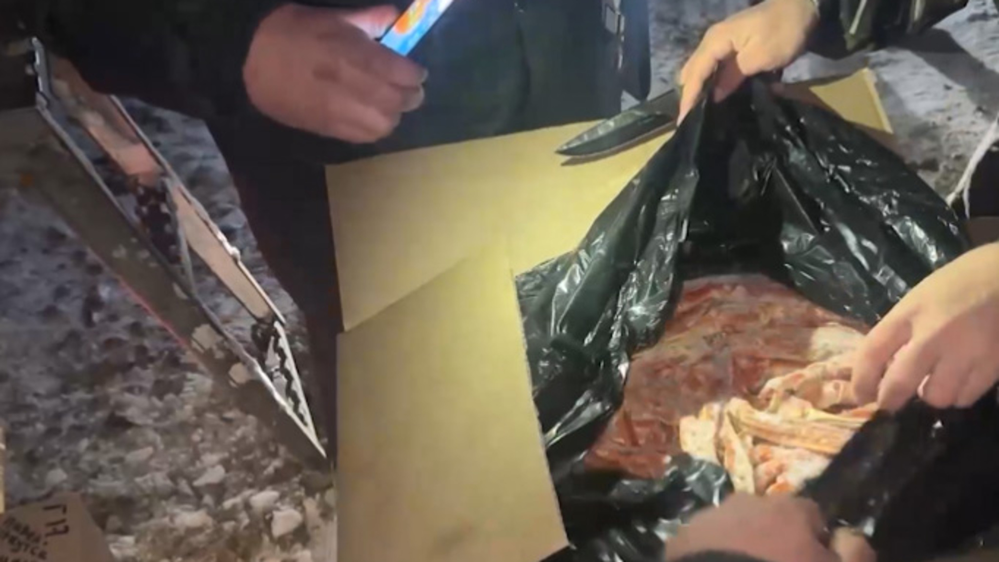 Забайкальская полиция изъяла морепродукты без маркировки на сумму более 14,5 млн рублей