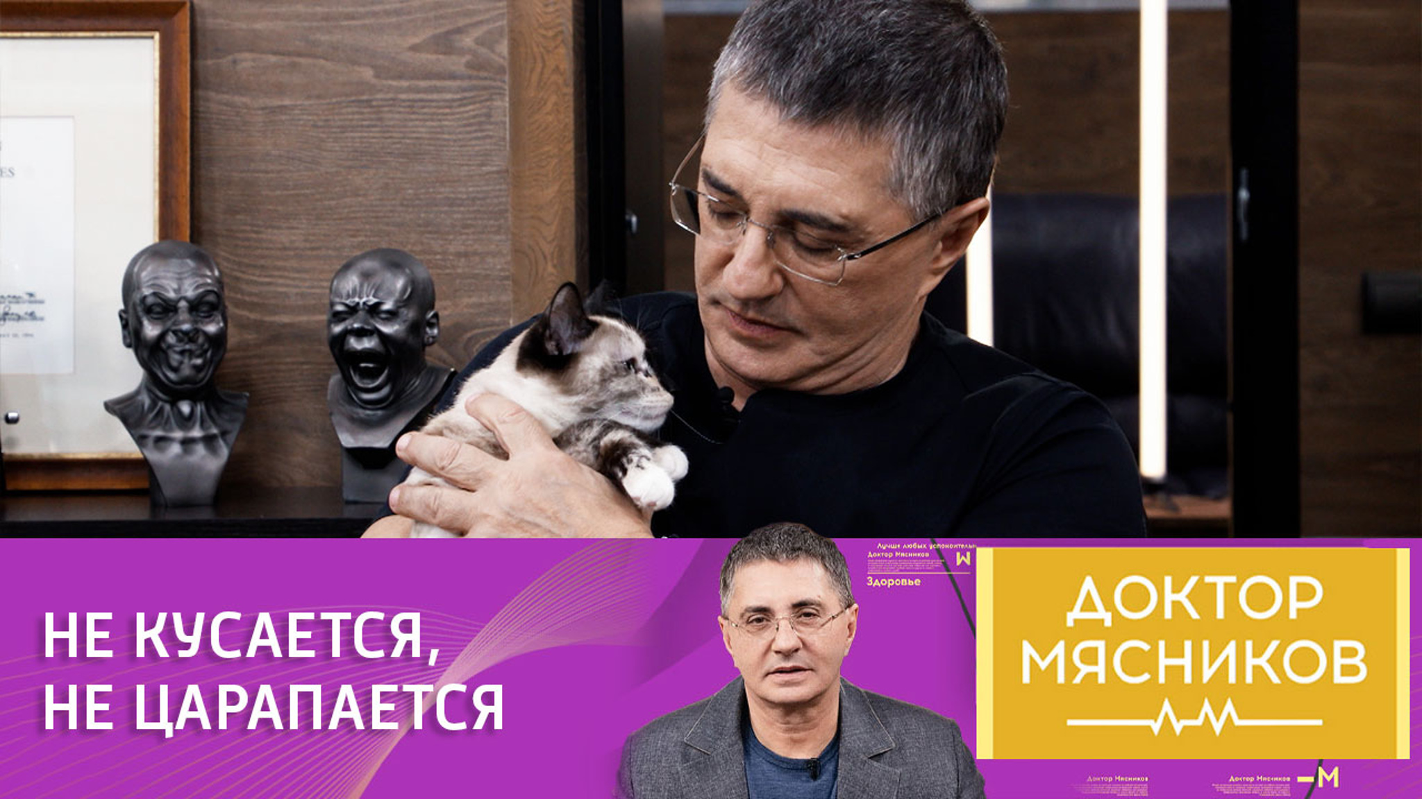 Котенок проявил чудеса терпения на руках у Александра Мясникова