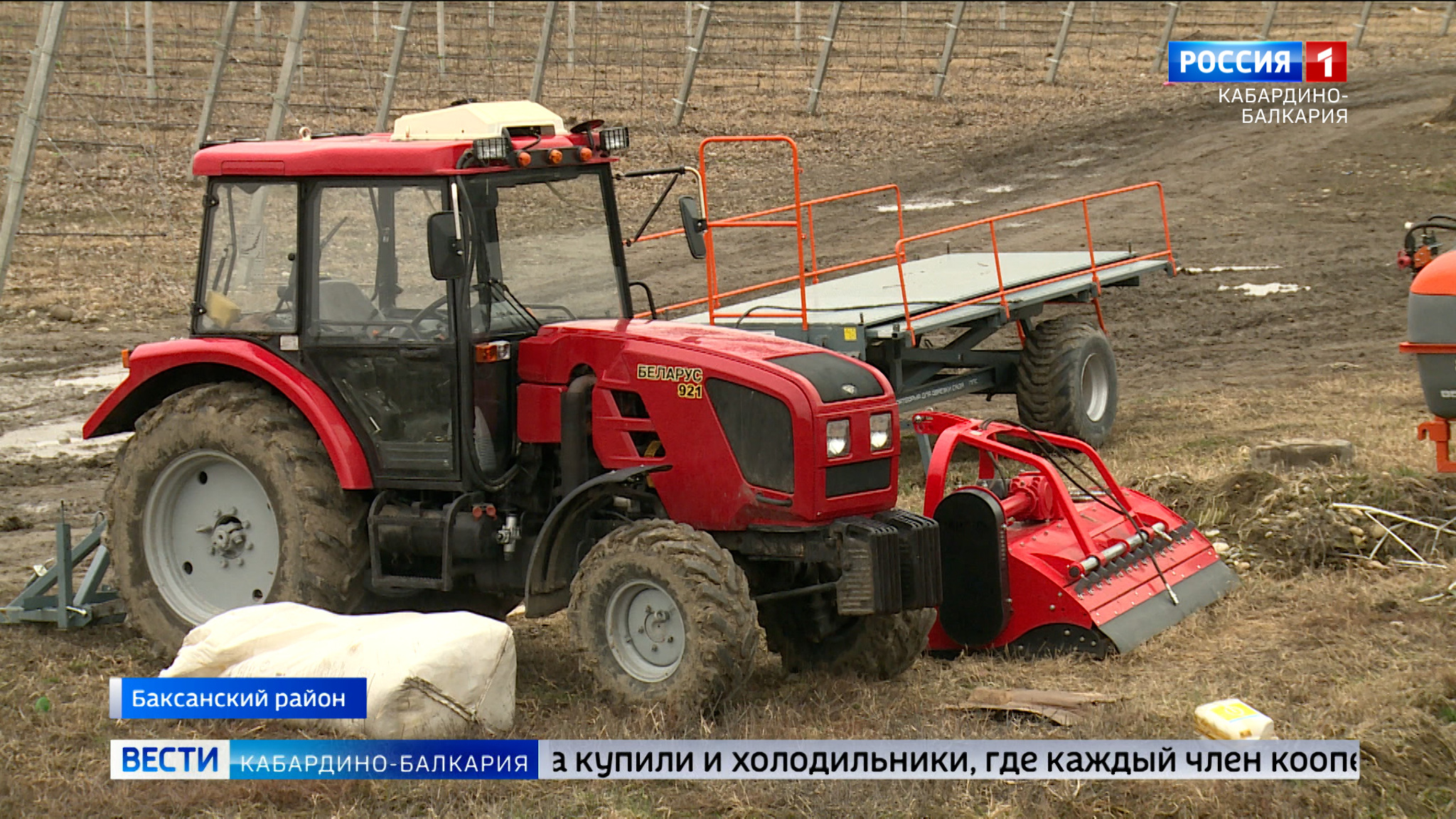 Больше 40 фермерских хозяйств КБР вошли в состав кооператива