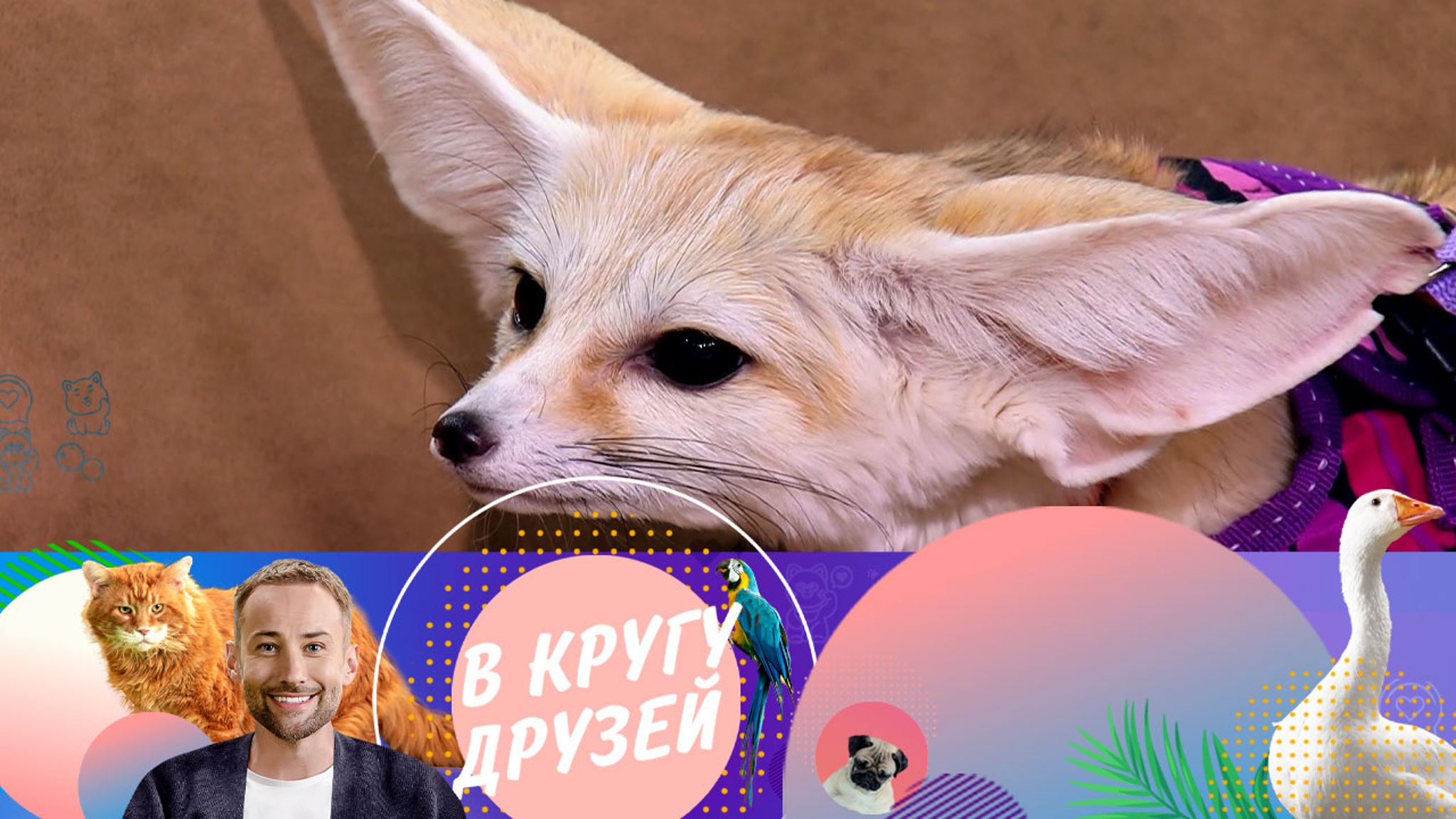 Эфир от 30.03.2024