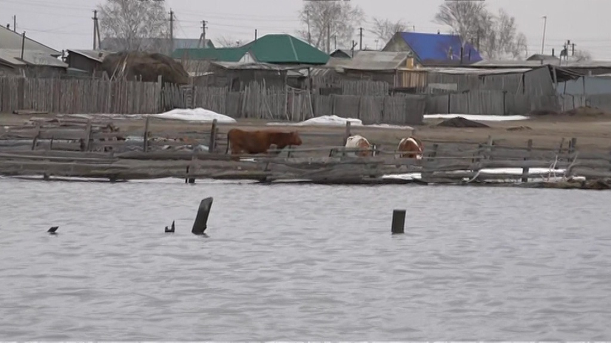 В Алтайском крае десятки домов попали в зону подтопления