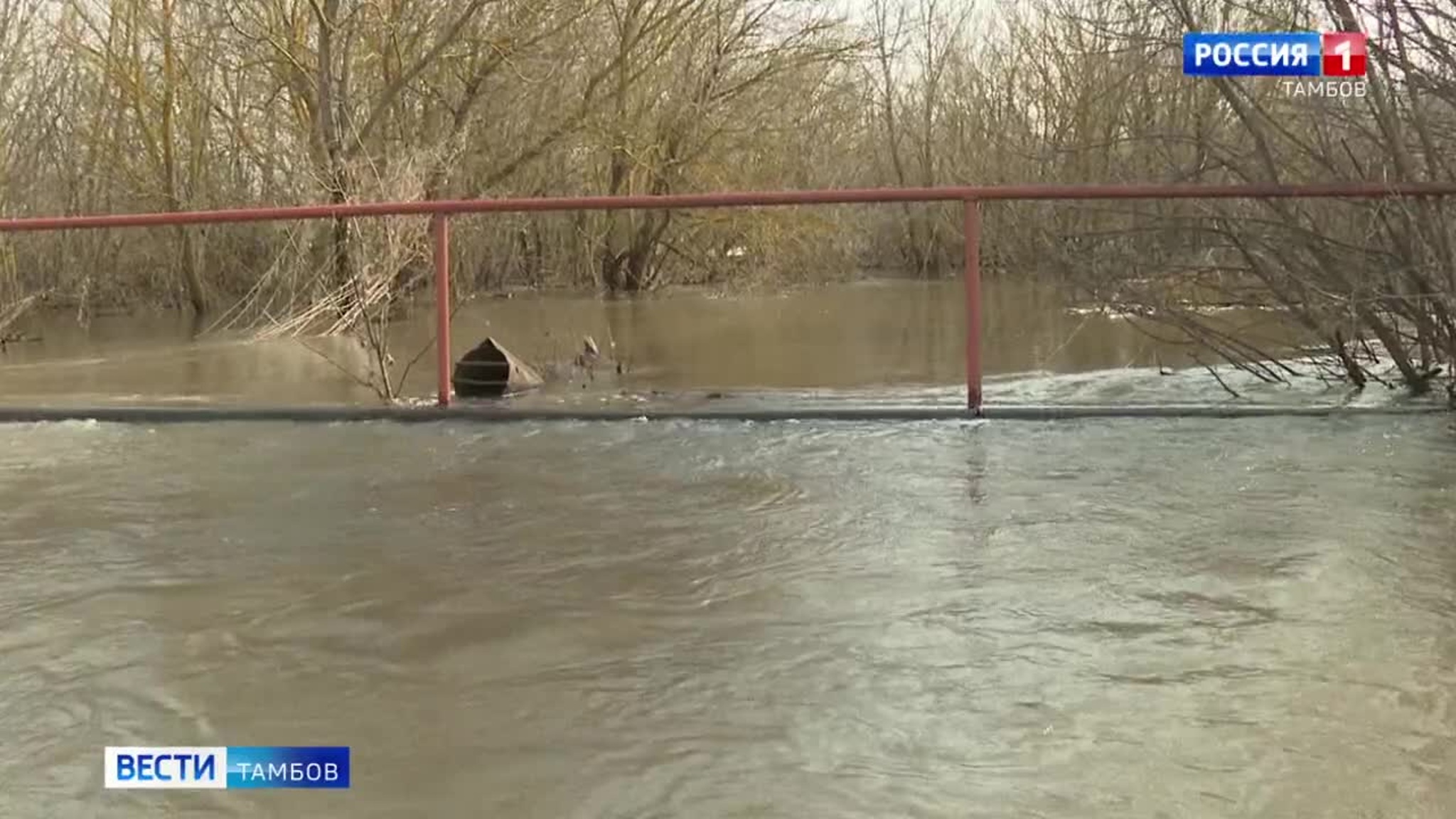 Данные о пике паводка в регионе на 3 апреля