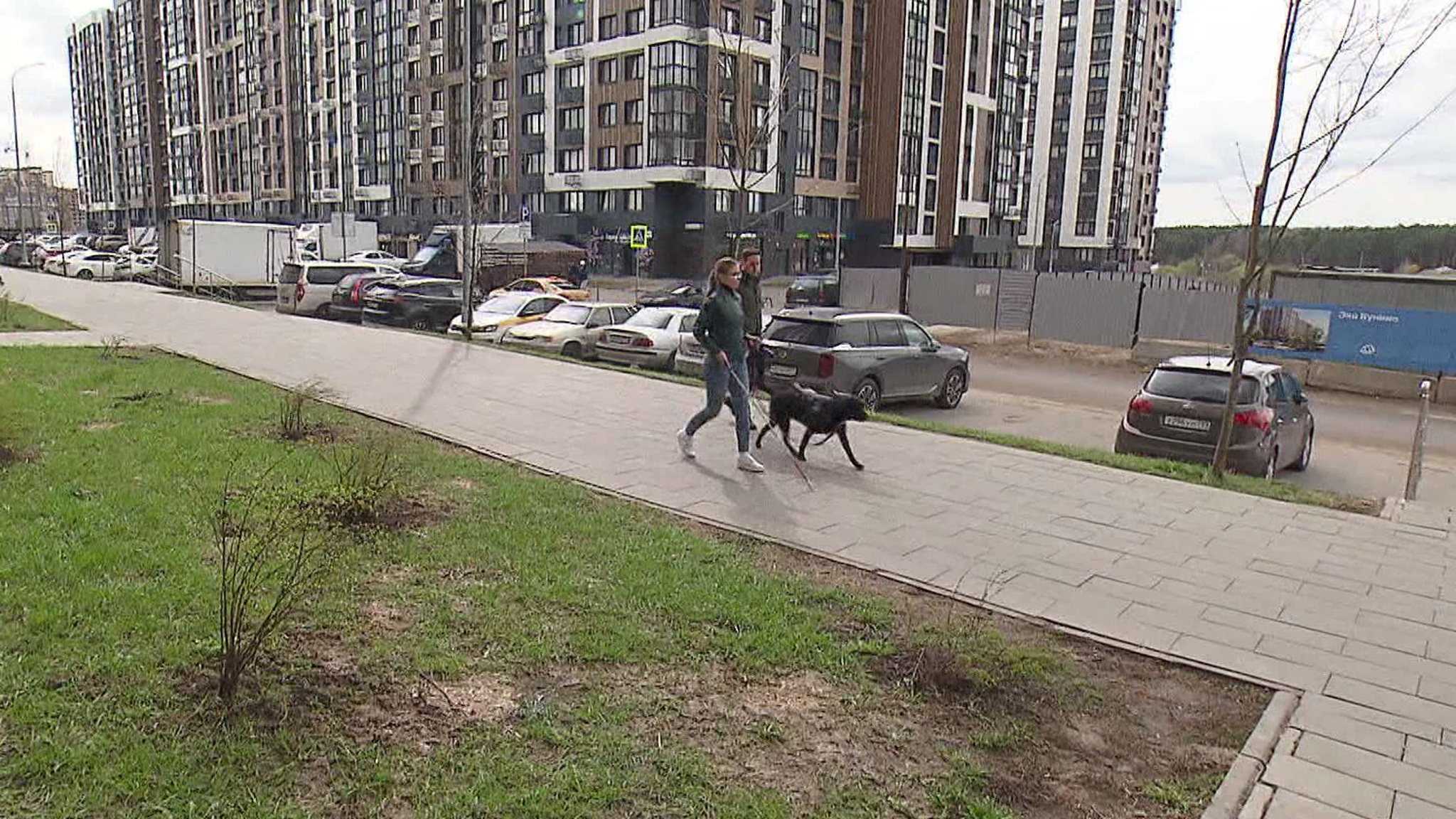 Собаки-проводники помогают маломобильным пассажирам метро