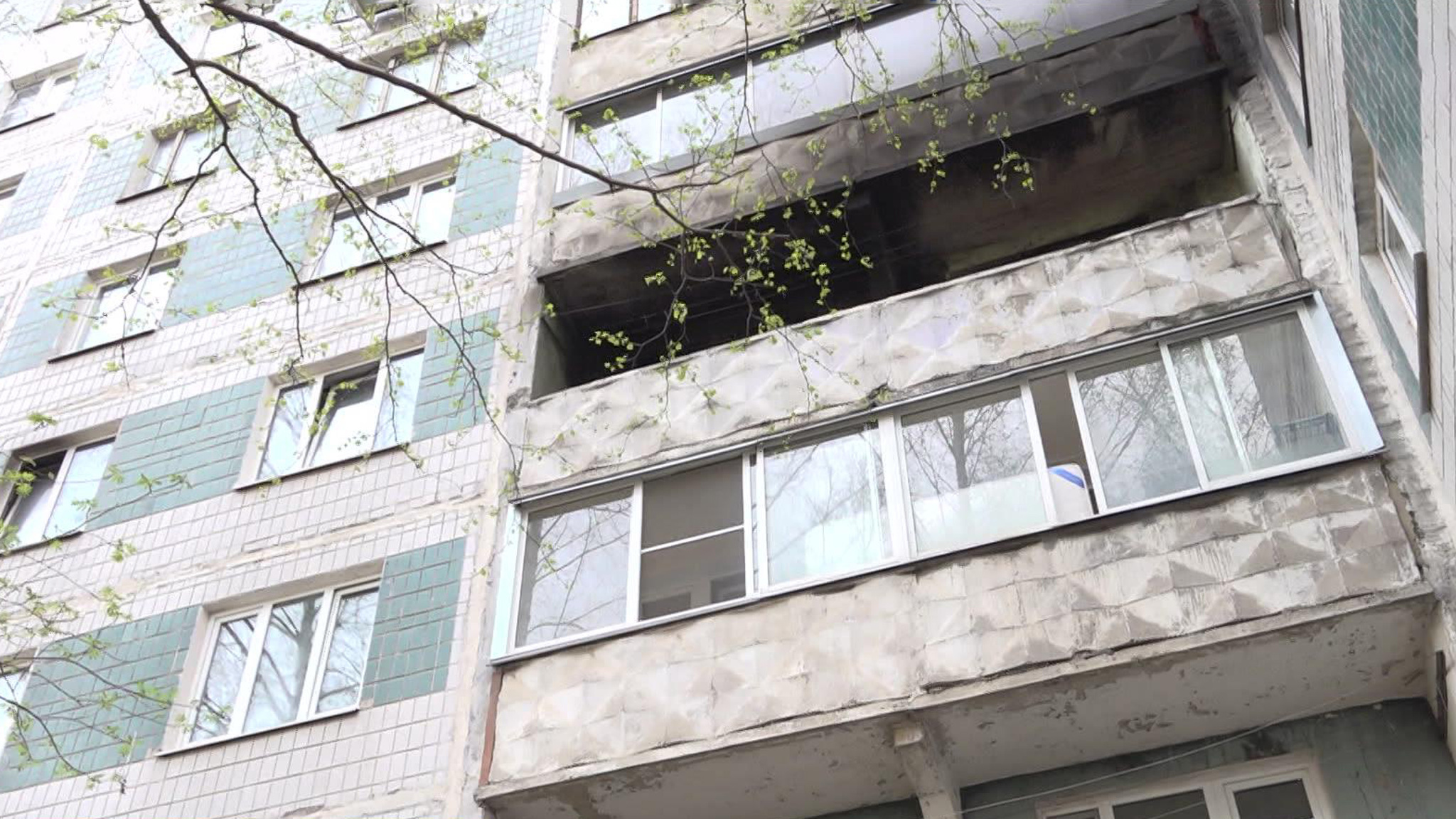 Девушка с котом спаслись из горящего дома в Дмитрове