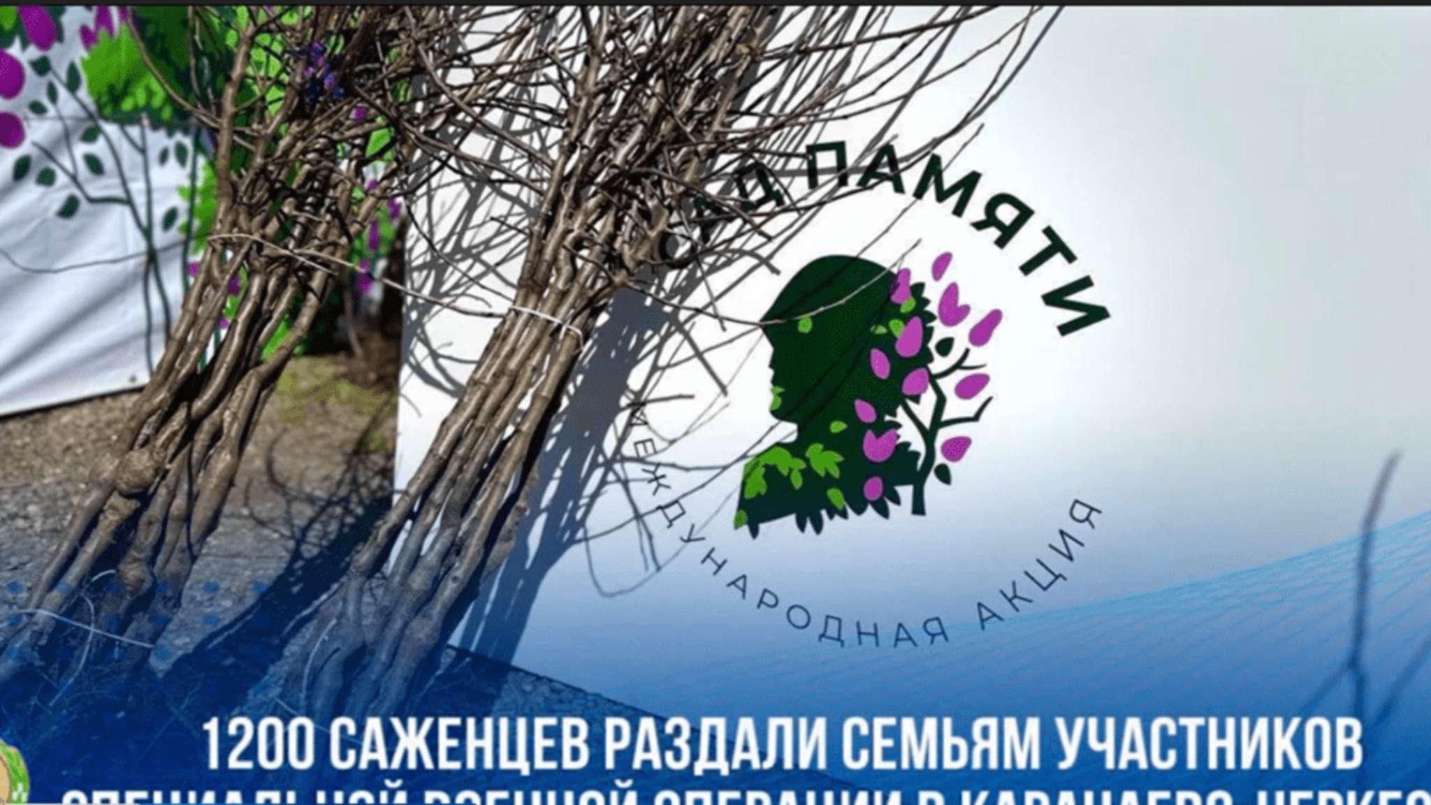 Рашид Темрезов: для семей участников СВО во все районы республики отправлены саженцы яблонь интенсивного типа