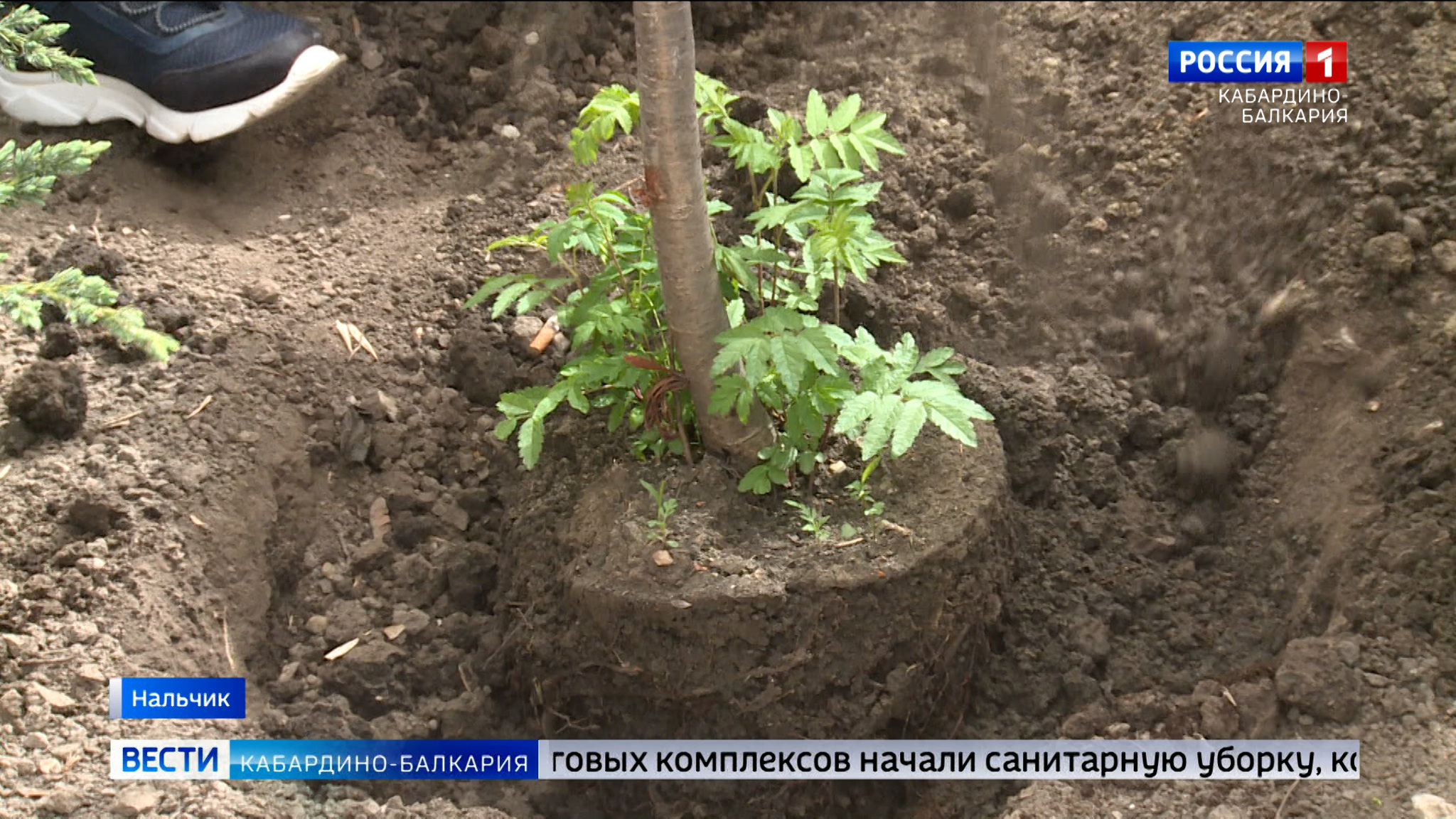 В Нальчике на Центральном рынке провели «зеленую» акцию