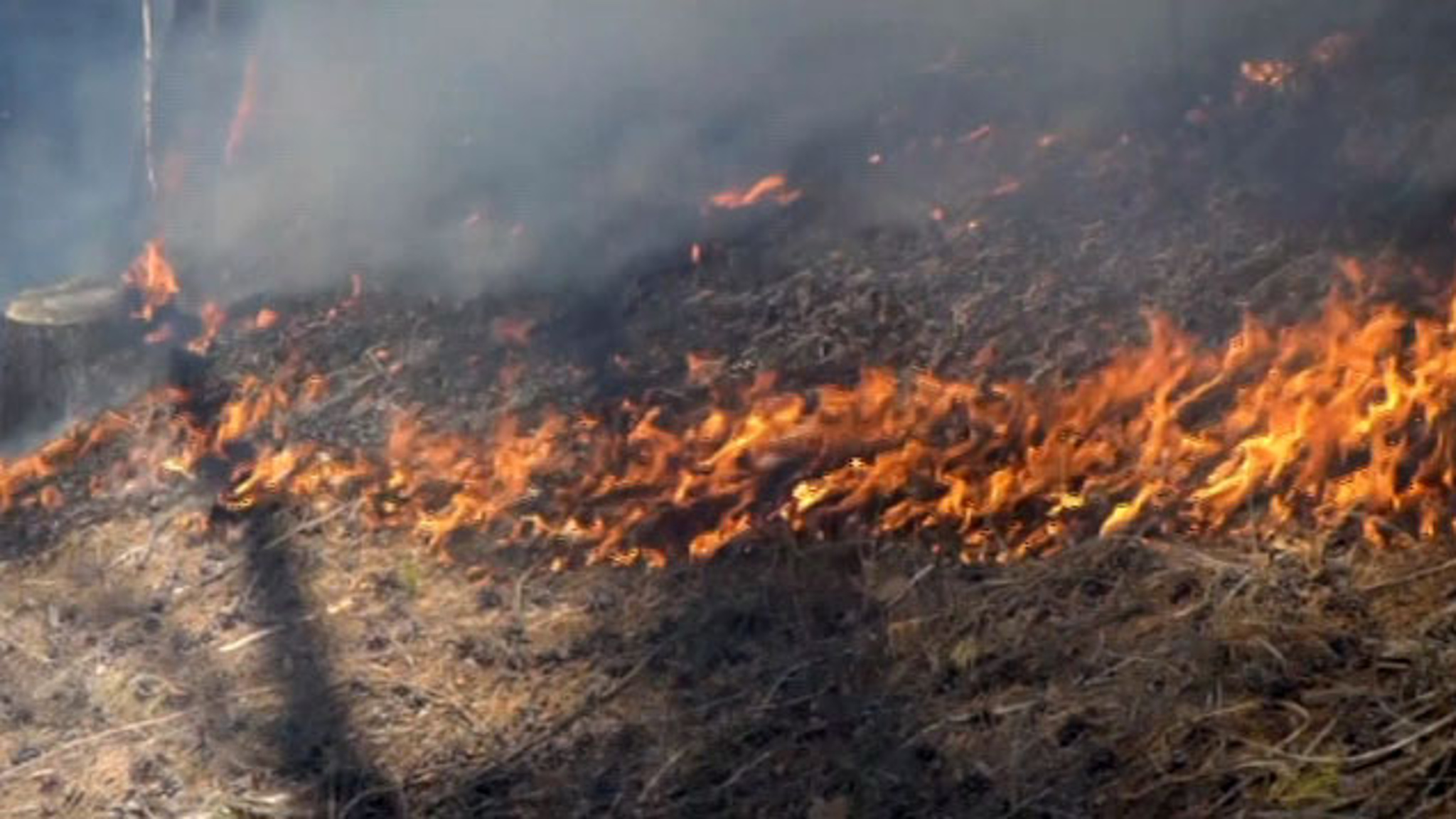 В Хабаровском крае от пожаров пострадало более 90 тысяч гектаров