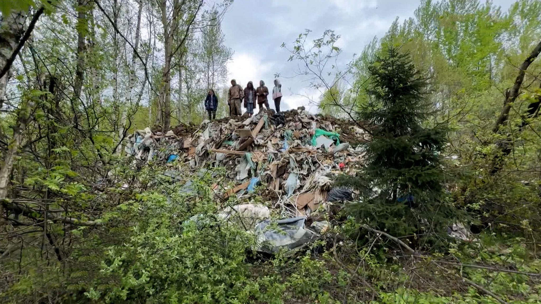 В Долгопрудном лес превращают в свалку