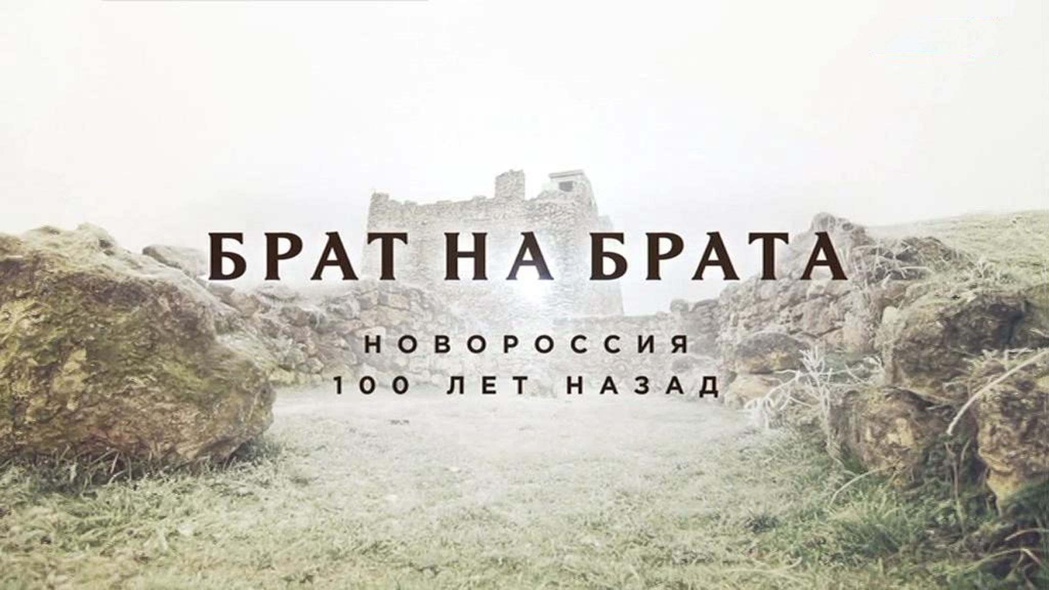 Брат на брата. Новороссия 100 лет назад