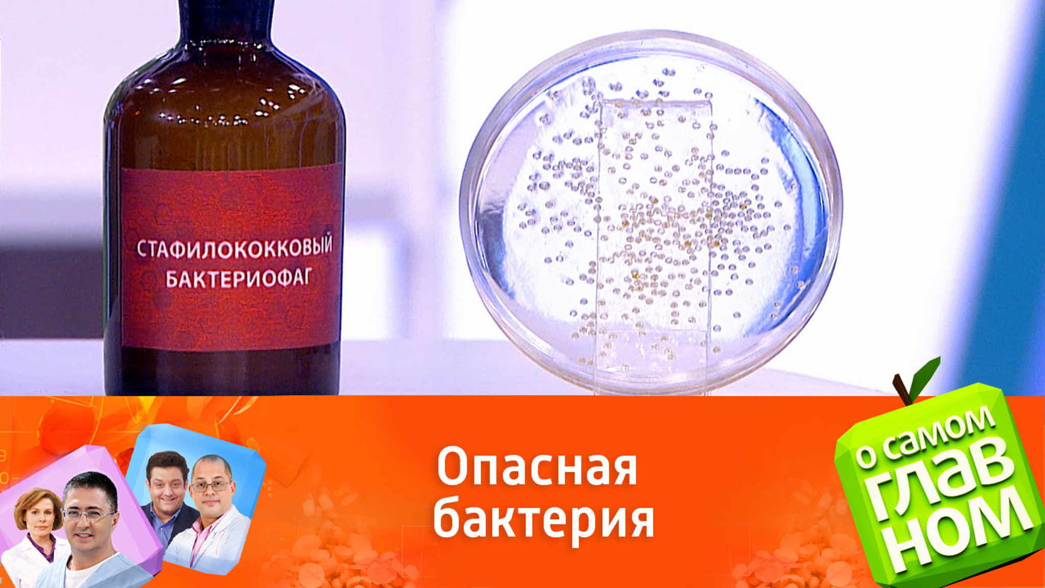 Врач Мясников предложил способ защиты от золотистого стафилококка в больнице