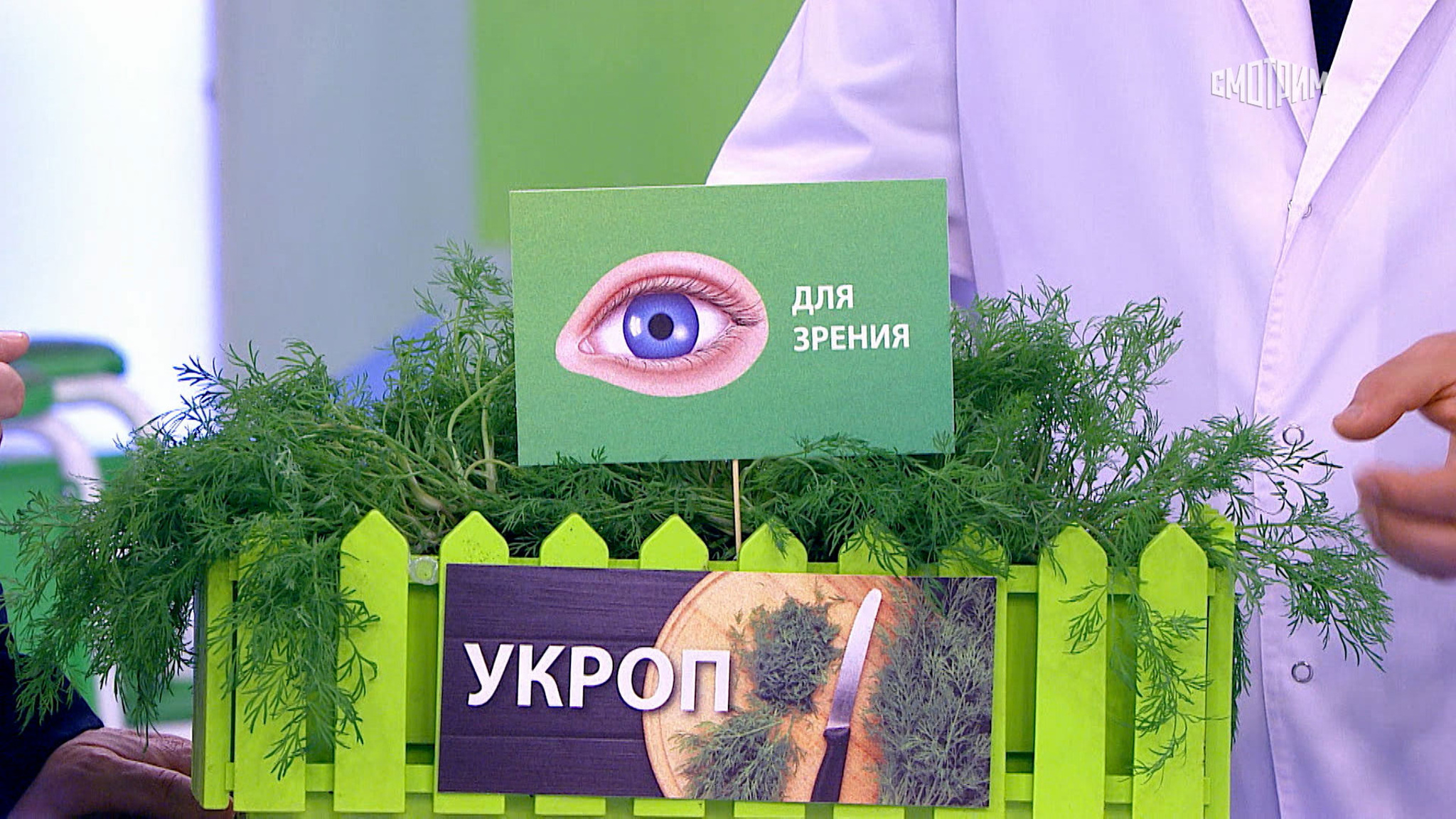 Диетолог Гинзбург: укроп защитит от потери зрения после 60 лет