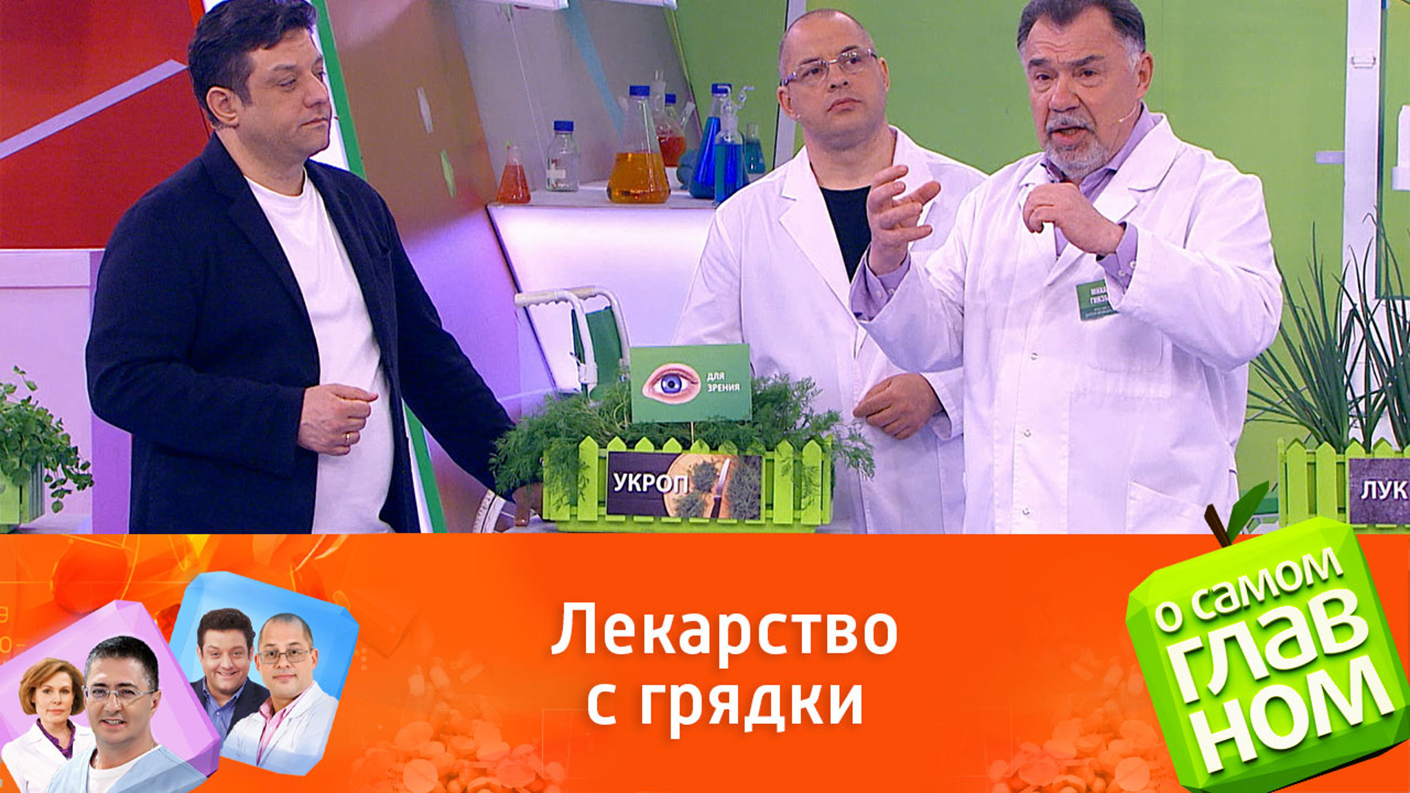 Укроп способствует сохранению зрения в пожилом возрасте