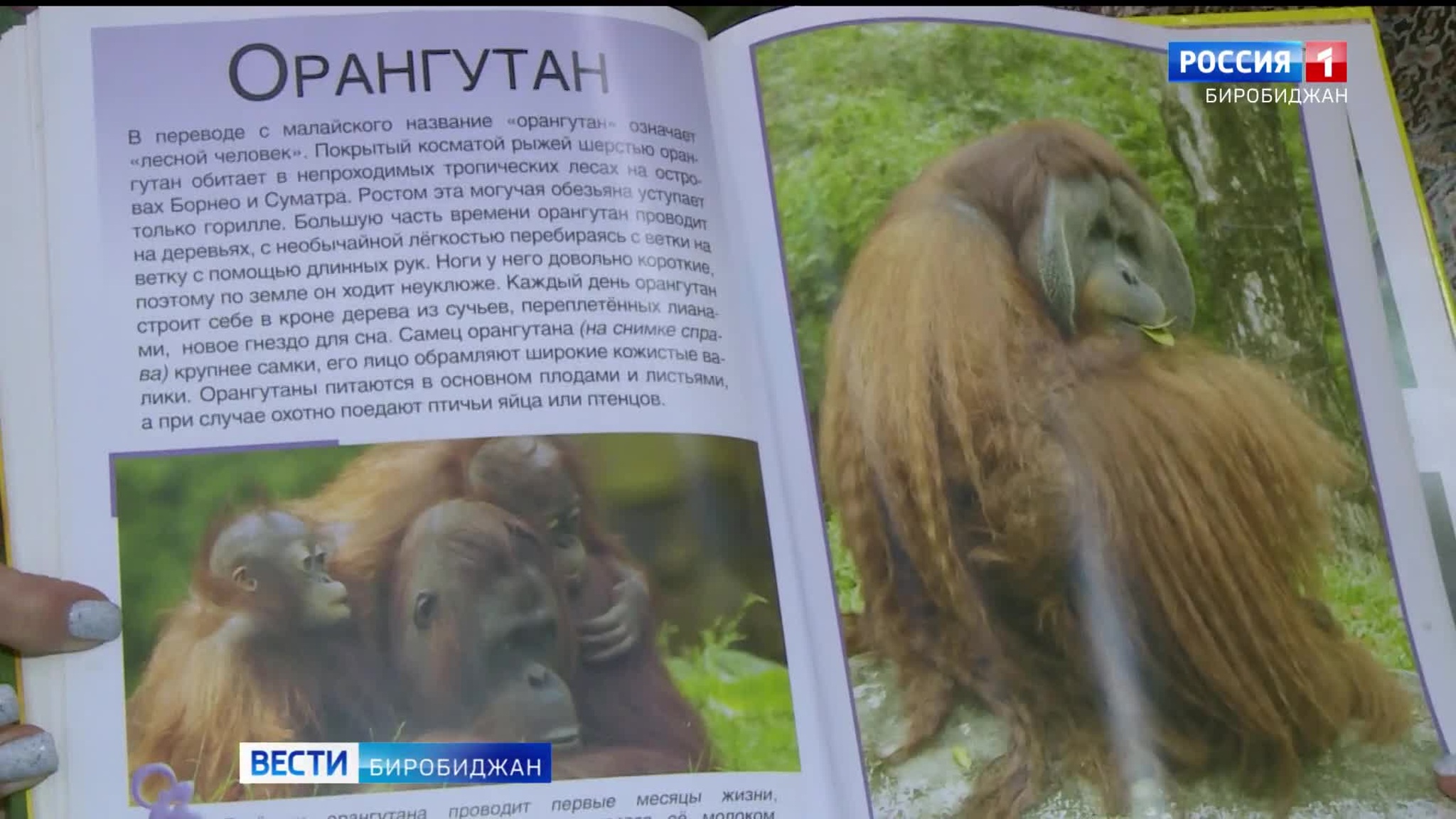 Книга во времени. Международный день биологического разнообразия