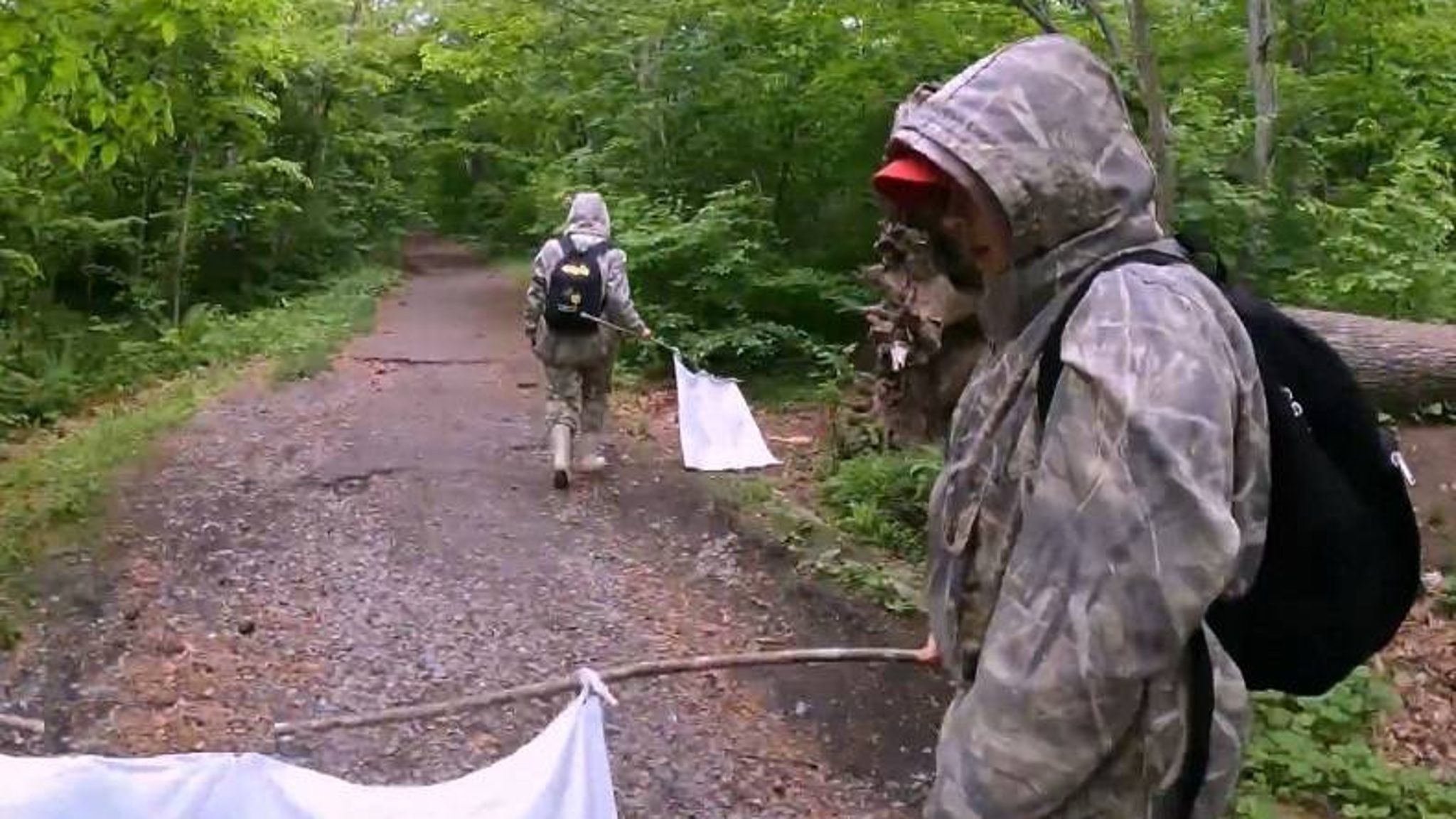 "Больно было": коварные маленькие хищники поджидают жертву в лесах Приморья