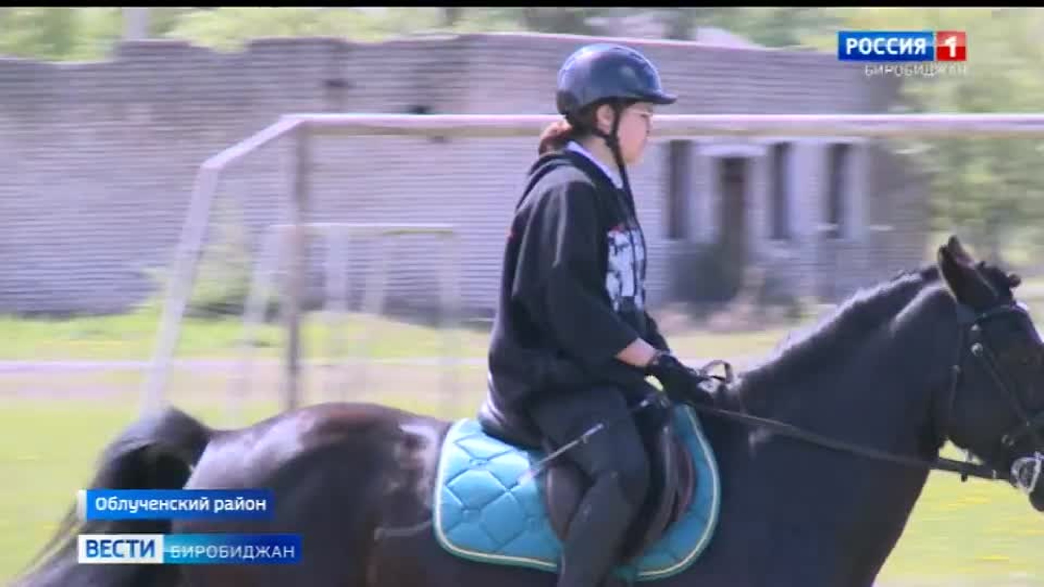 Конный спорт развивается в ЕАО
