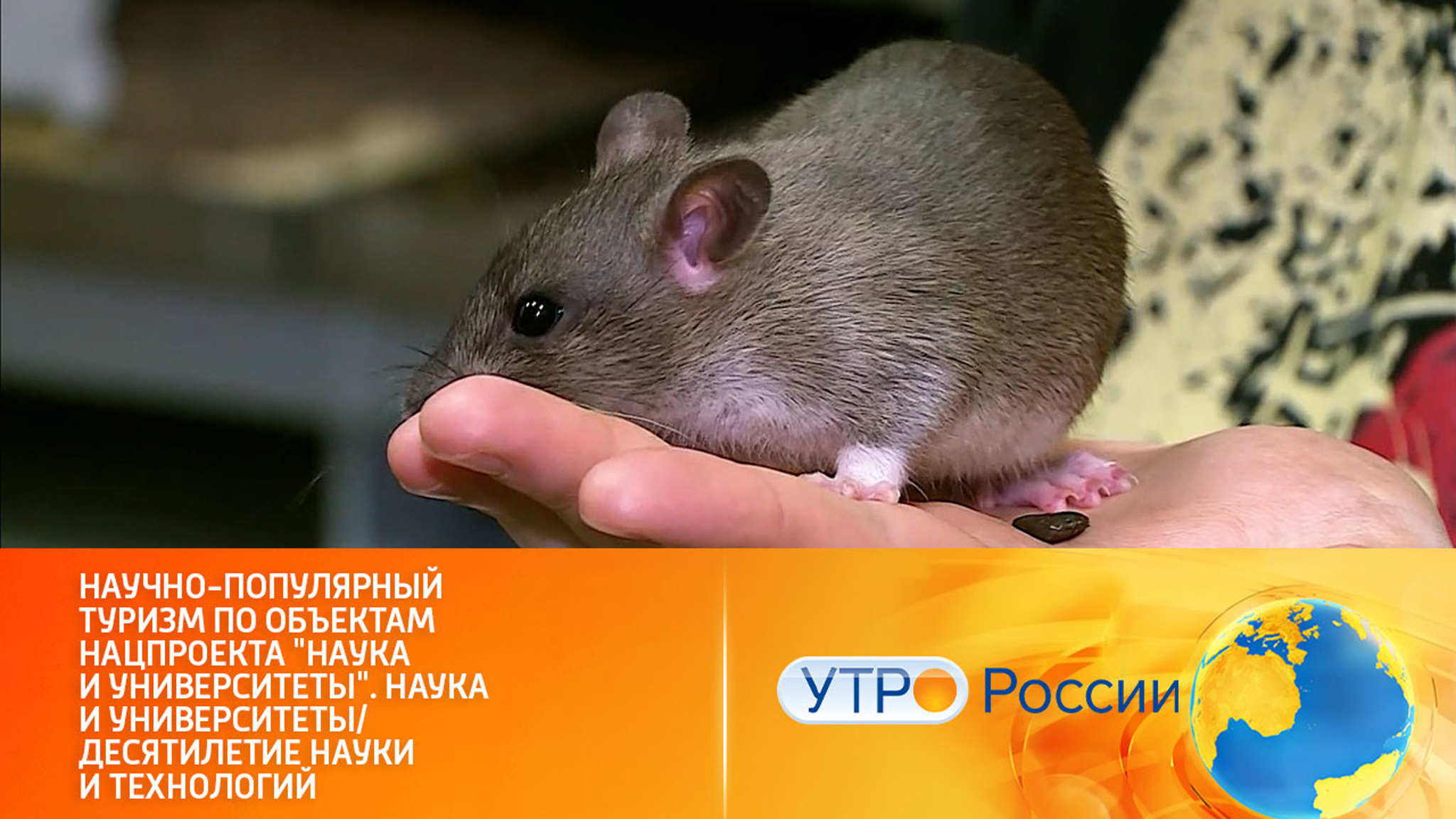 В России развивается научно-популярный туризм