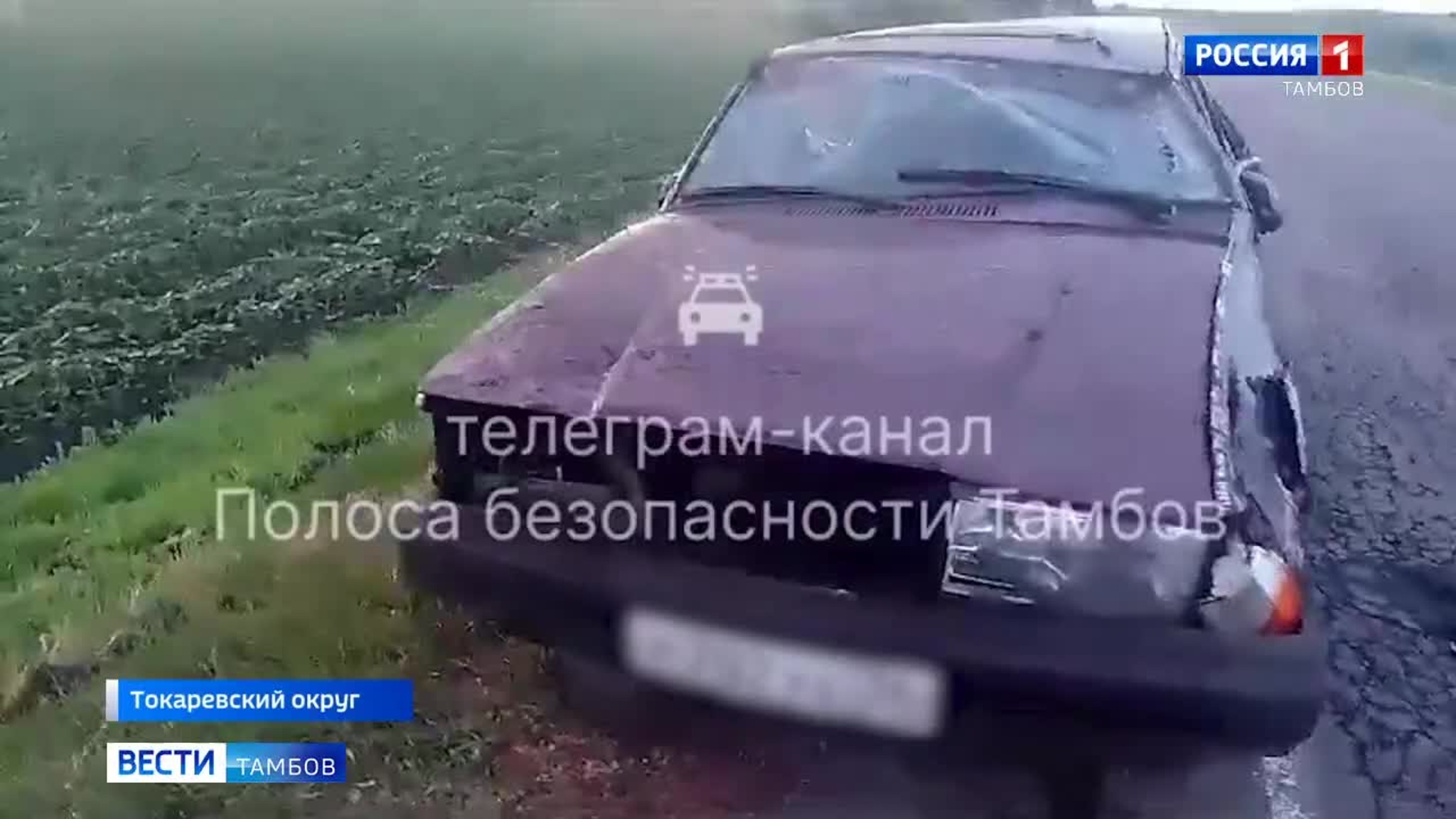 «Калина» протаранила столб в Мичуринском округе