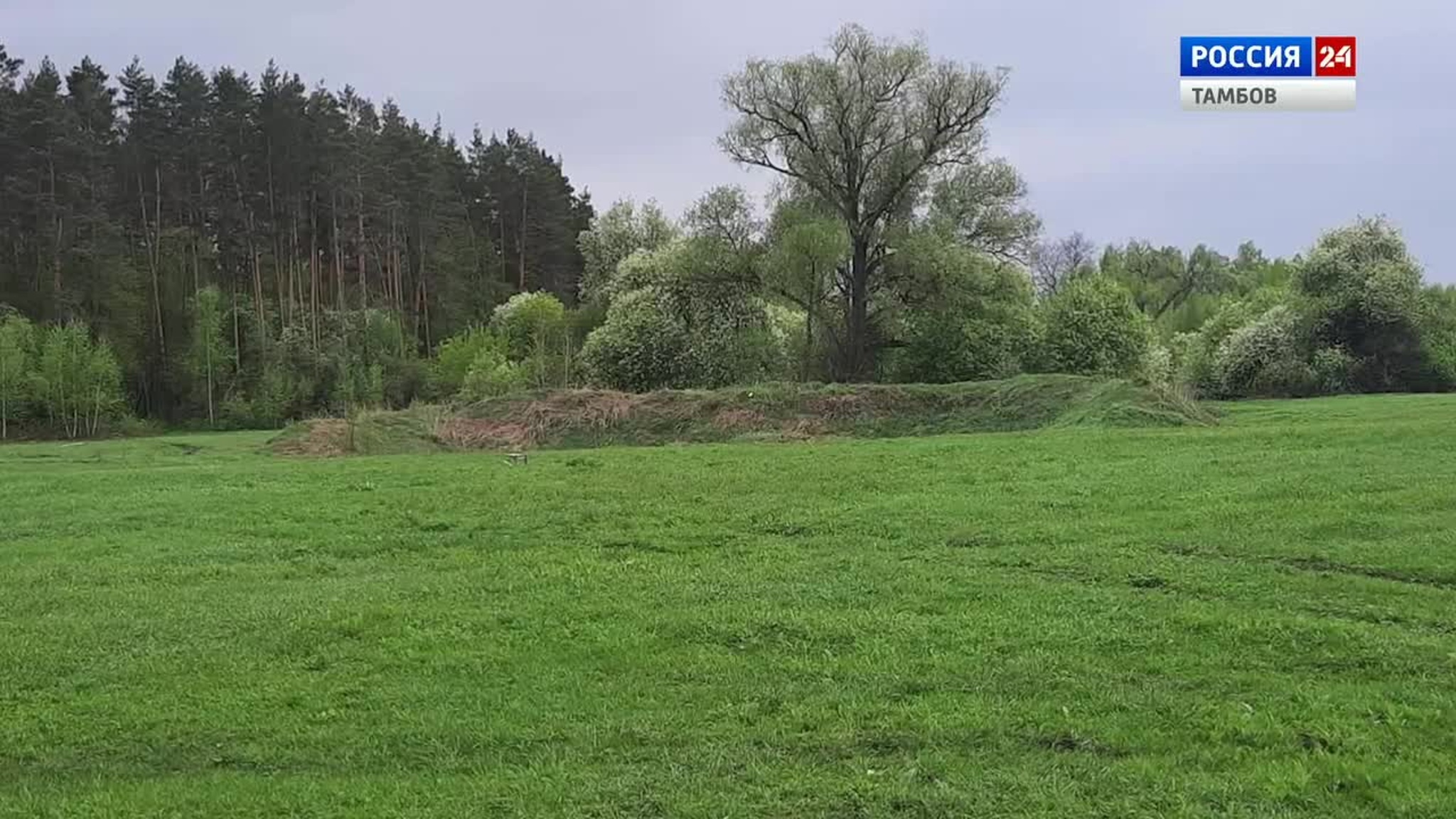 Более 40 нарушений выявили прокуроры в рамках проверки охотхозяйств