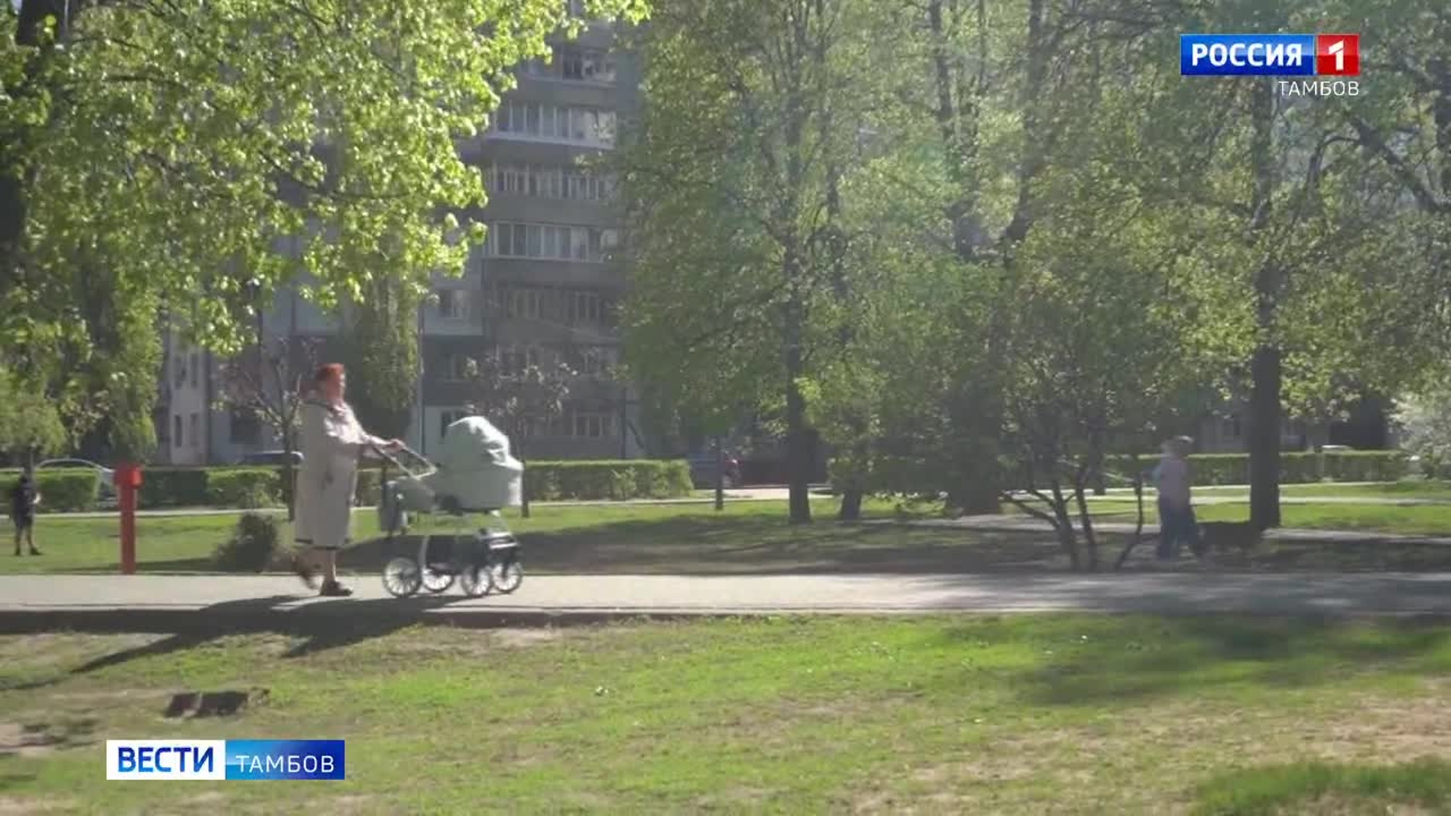 Тамбовчанам стоит ожидать дождь и град