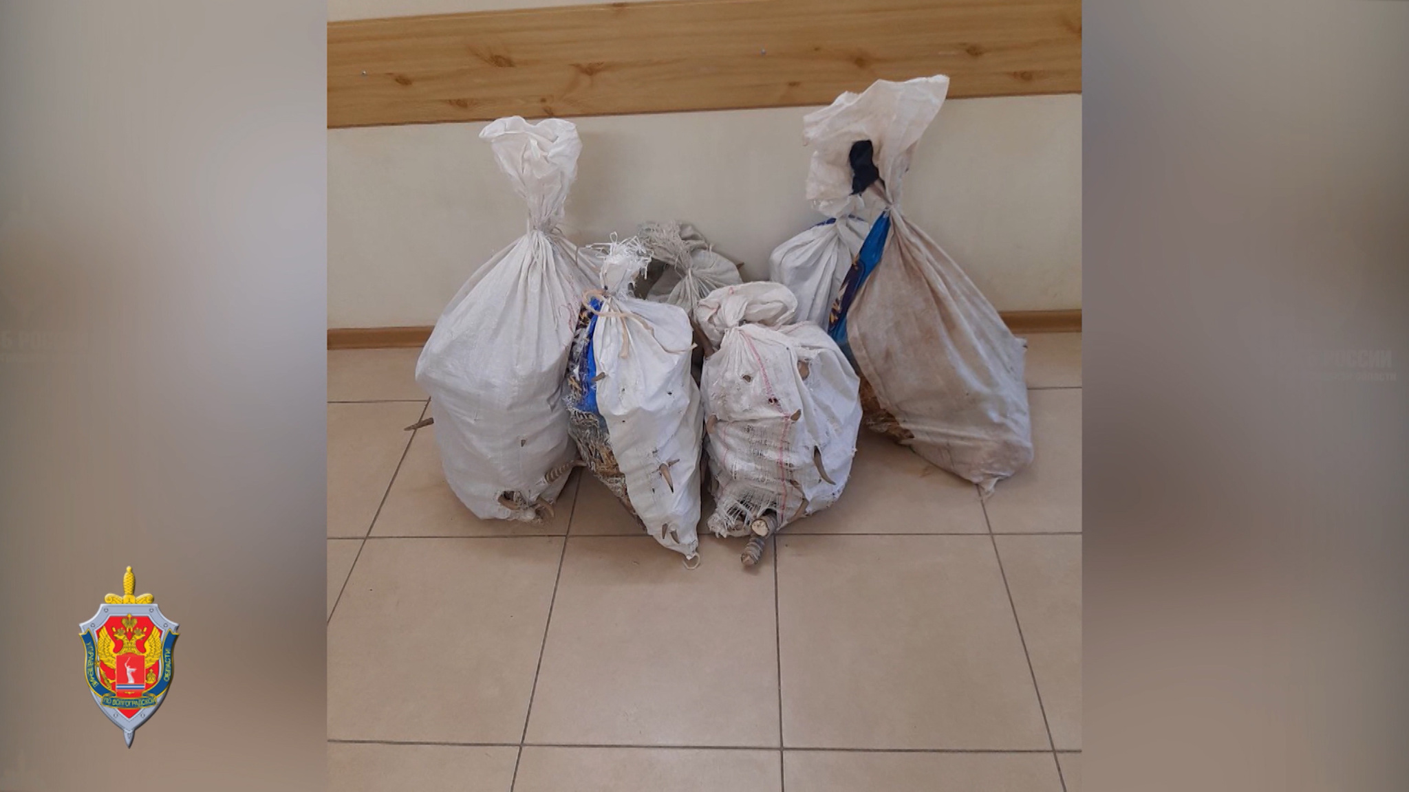 В аэропорту Волгограда у иностранца изъяли более 100 килограммов рогов сайгака