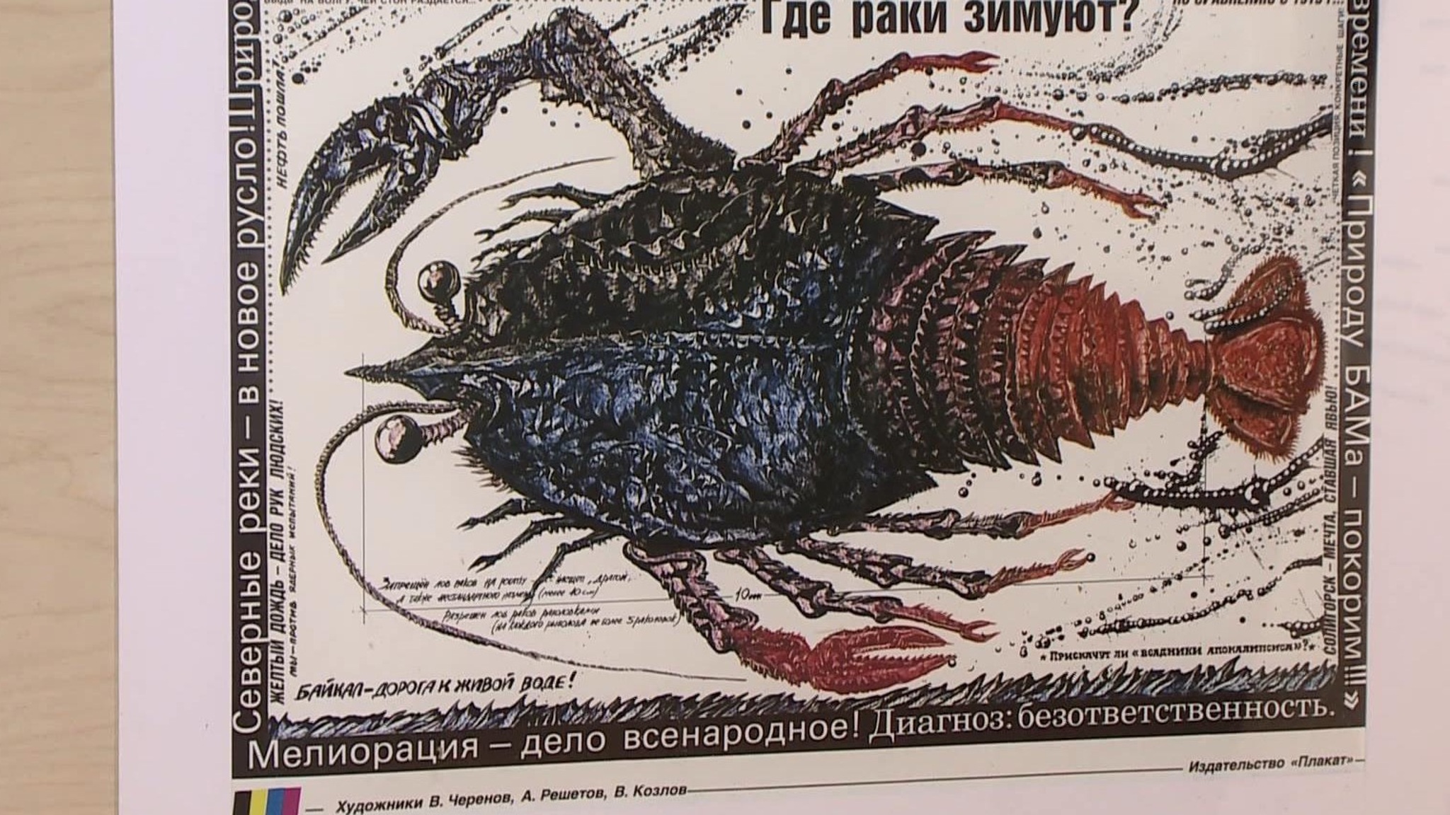 В Музее природы Владимира открылась выставка ретро-плакатов об экологии