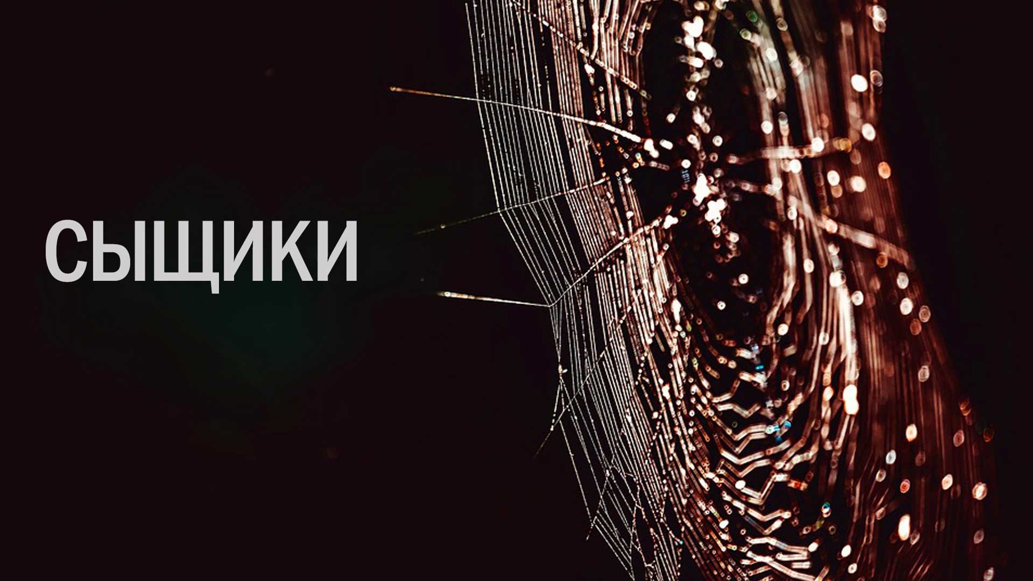 Сыщики