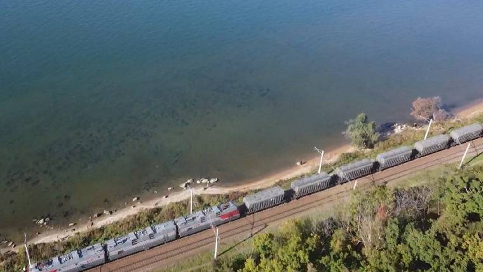 "Водородная бомба" стала причиной мора чилима в акватории Амурского залива?