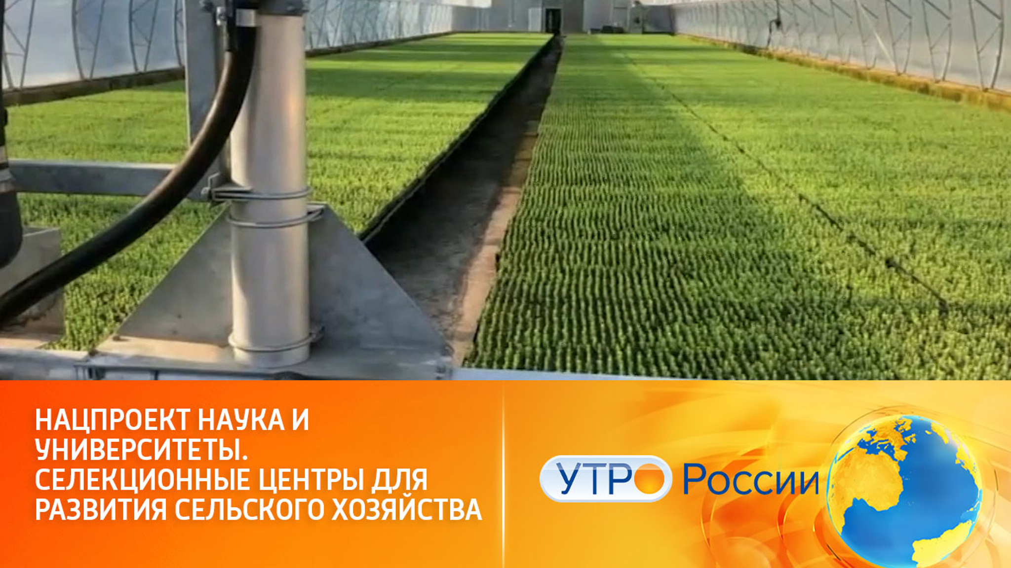 Национальный проект "Наука и Университеты" открыл новые горизонты для сельского хозяйства